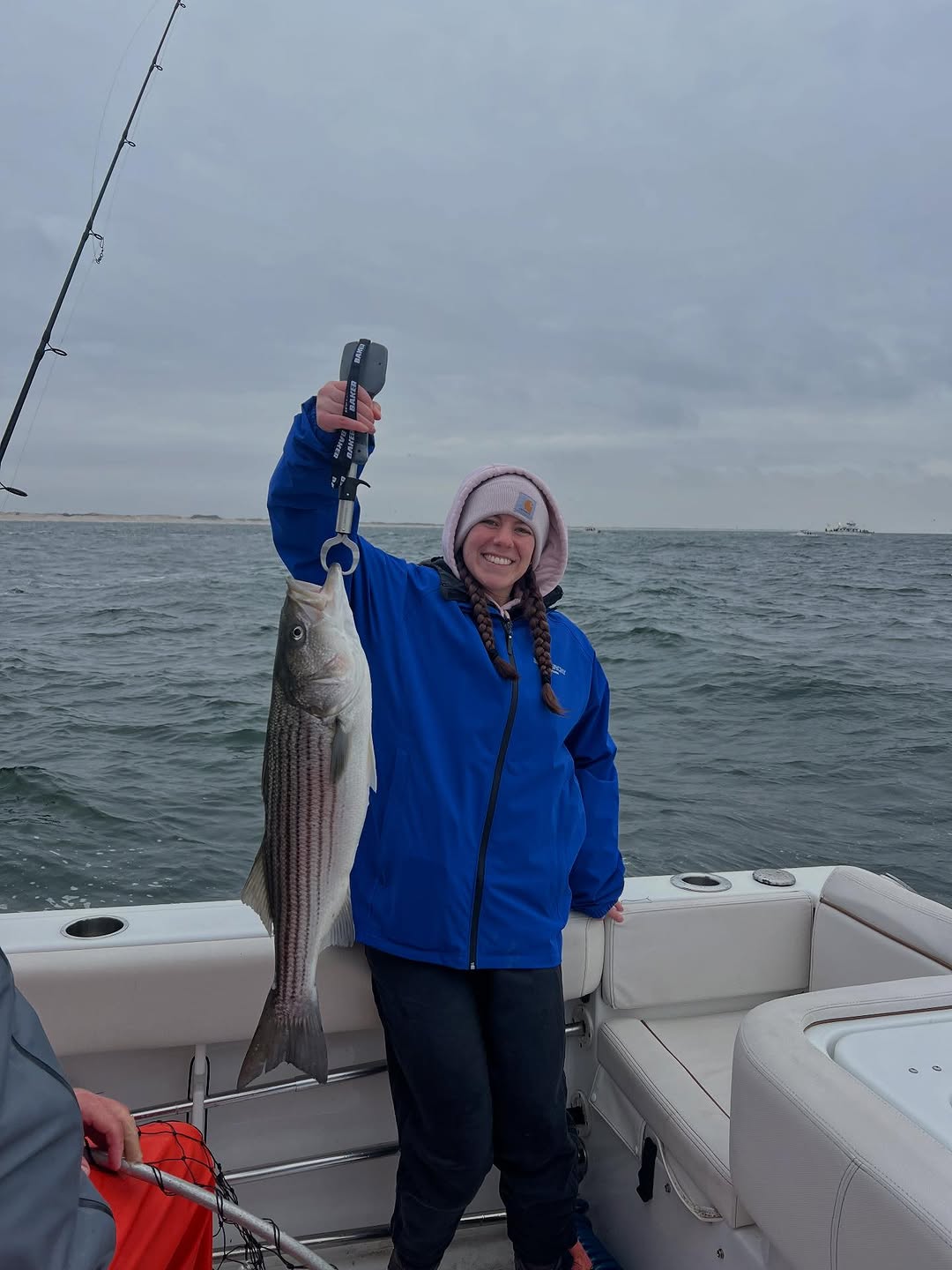 Striped bass caught while fishing at Barnegat Light