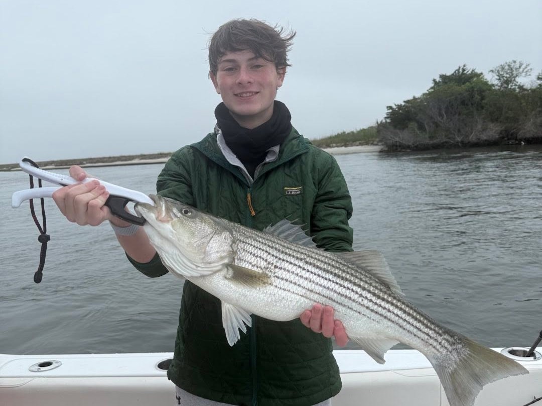 Striped bass fishing charter boat in Barnegat Bay with Captain Frank, 4-hour inshore trip
