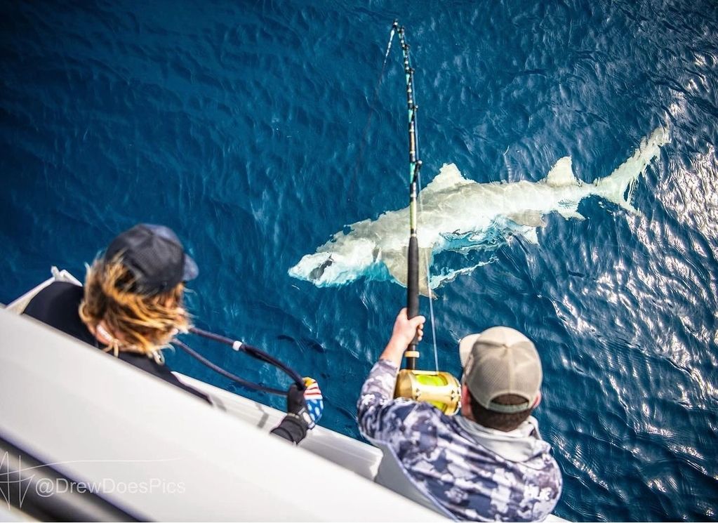 Angler fishing in Florida waters