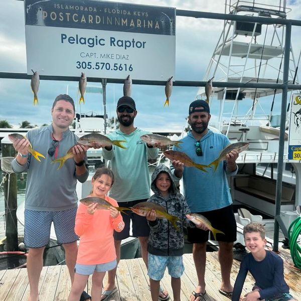 Nine fish caught during a fishing tour in Islamorada