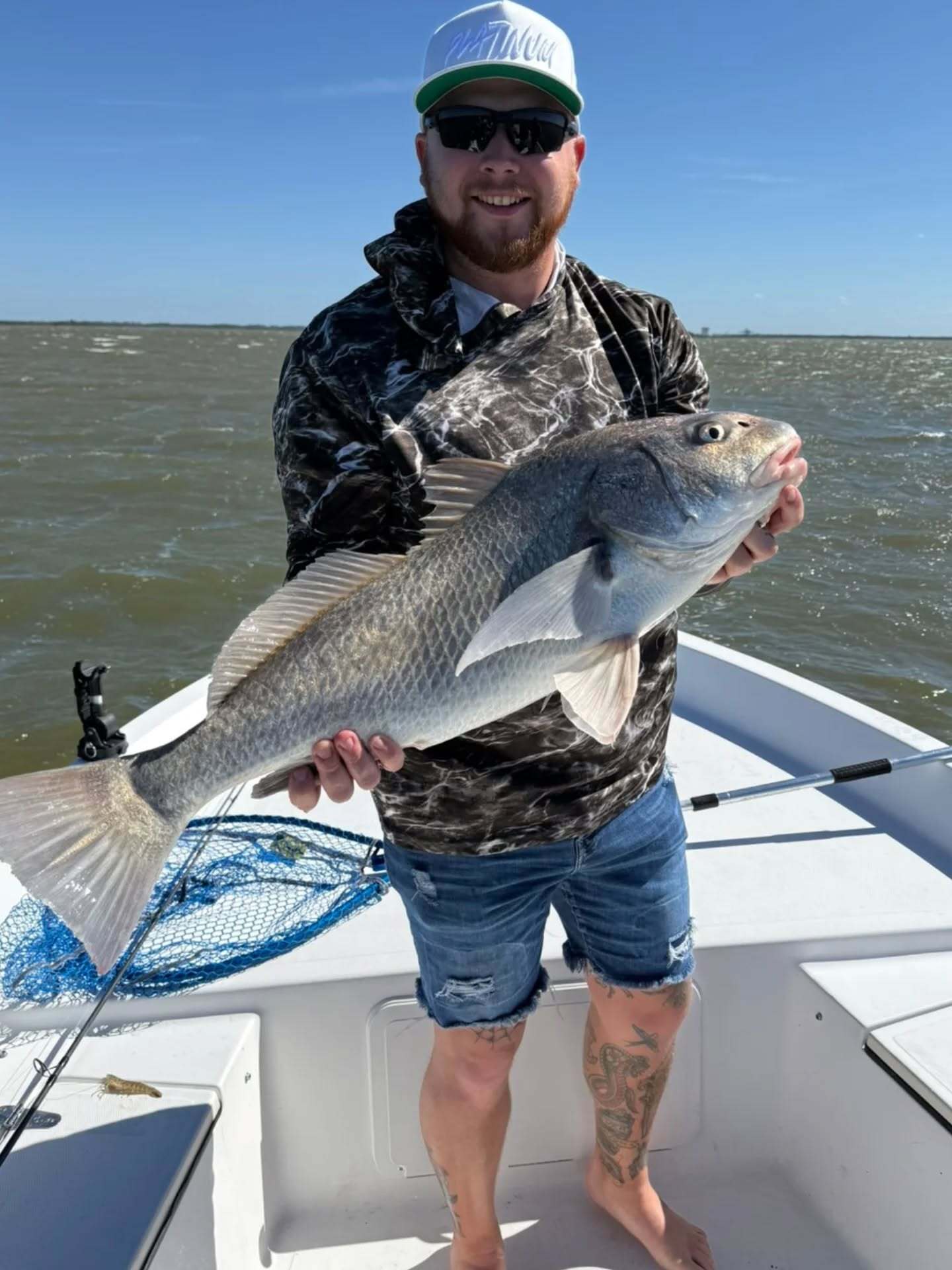 Black Drum fish caught while fishing in Yankeetown
