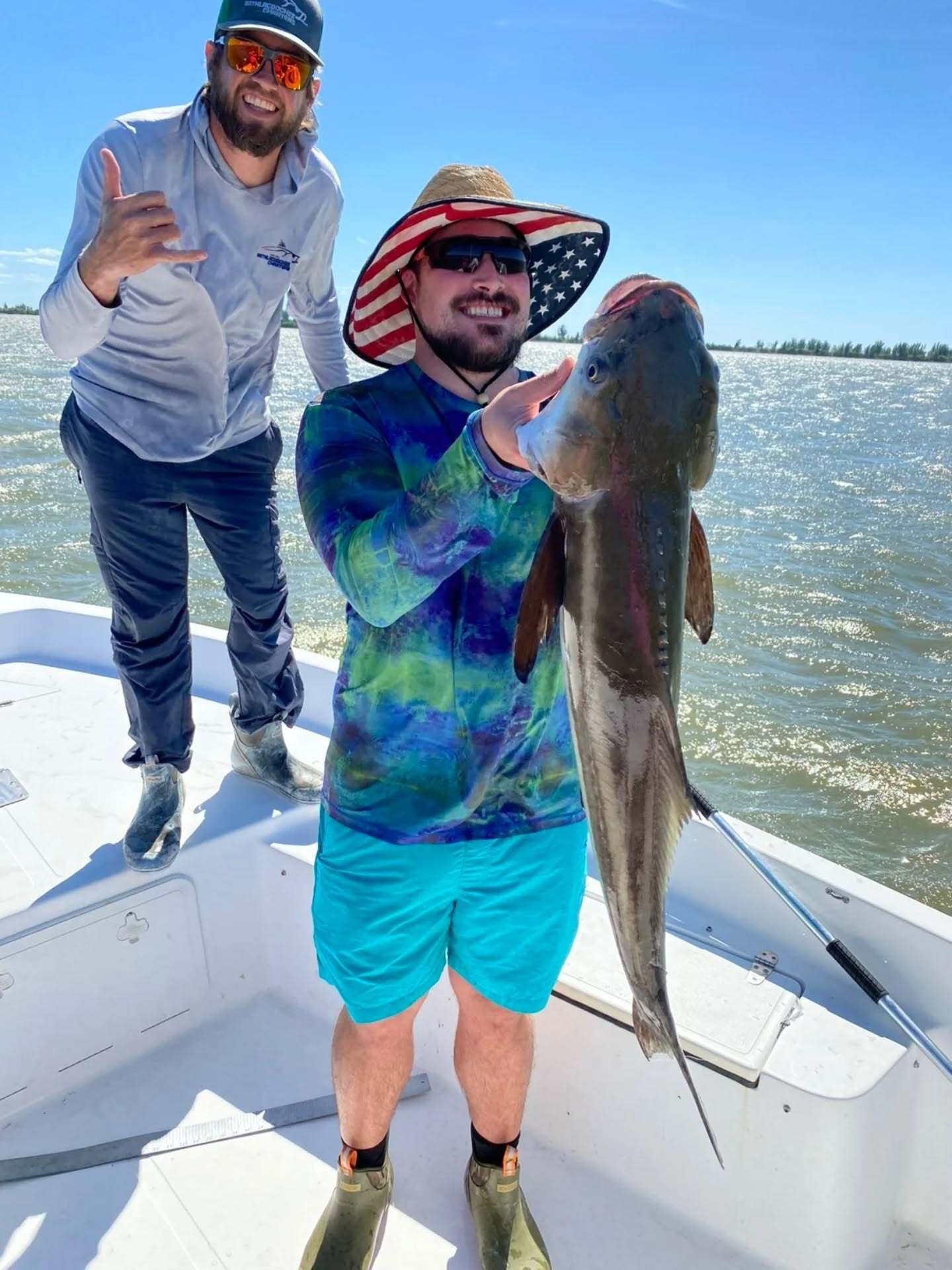 Hardhead Sea Catfish caught in Yankeetown