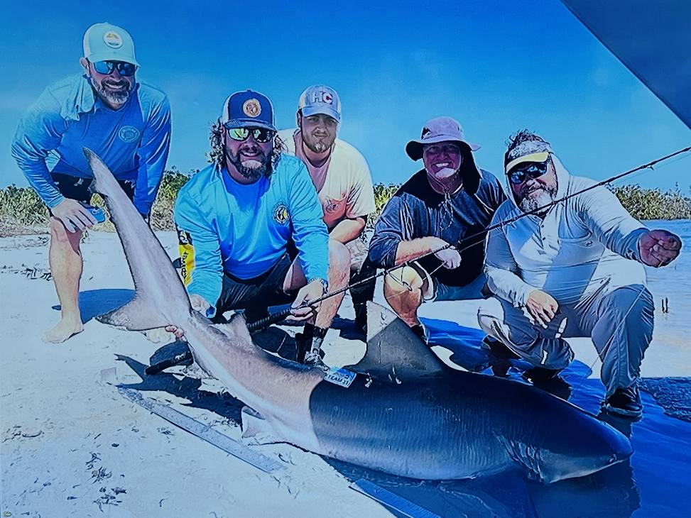 Sandbar Shark, 48 inches long, caught fishing in FL