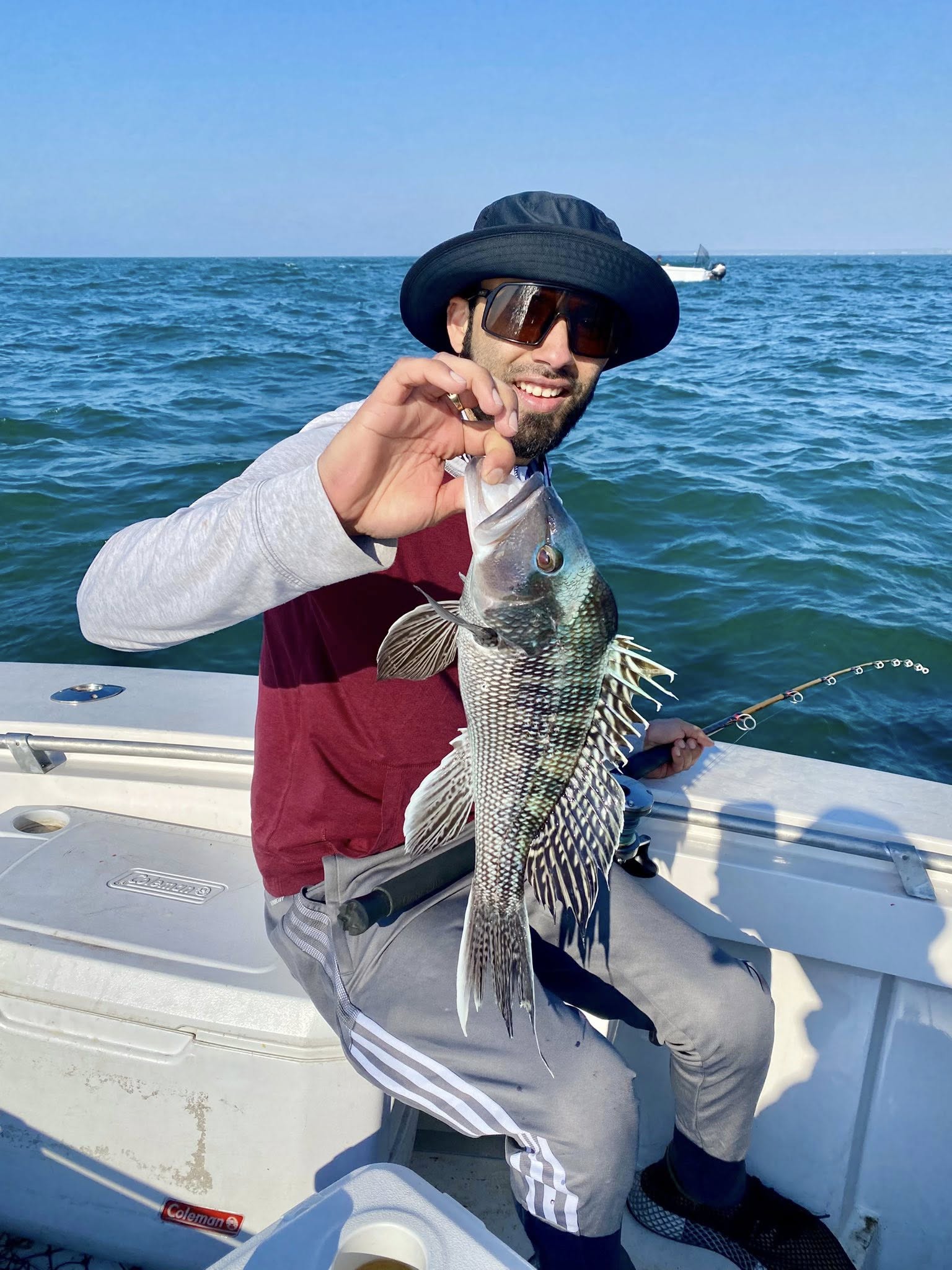 Black sea bass caught fishing in Wareham MA waters