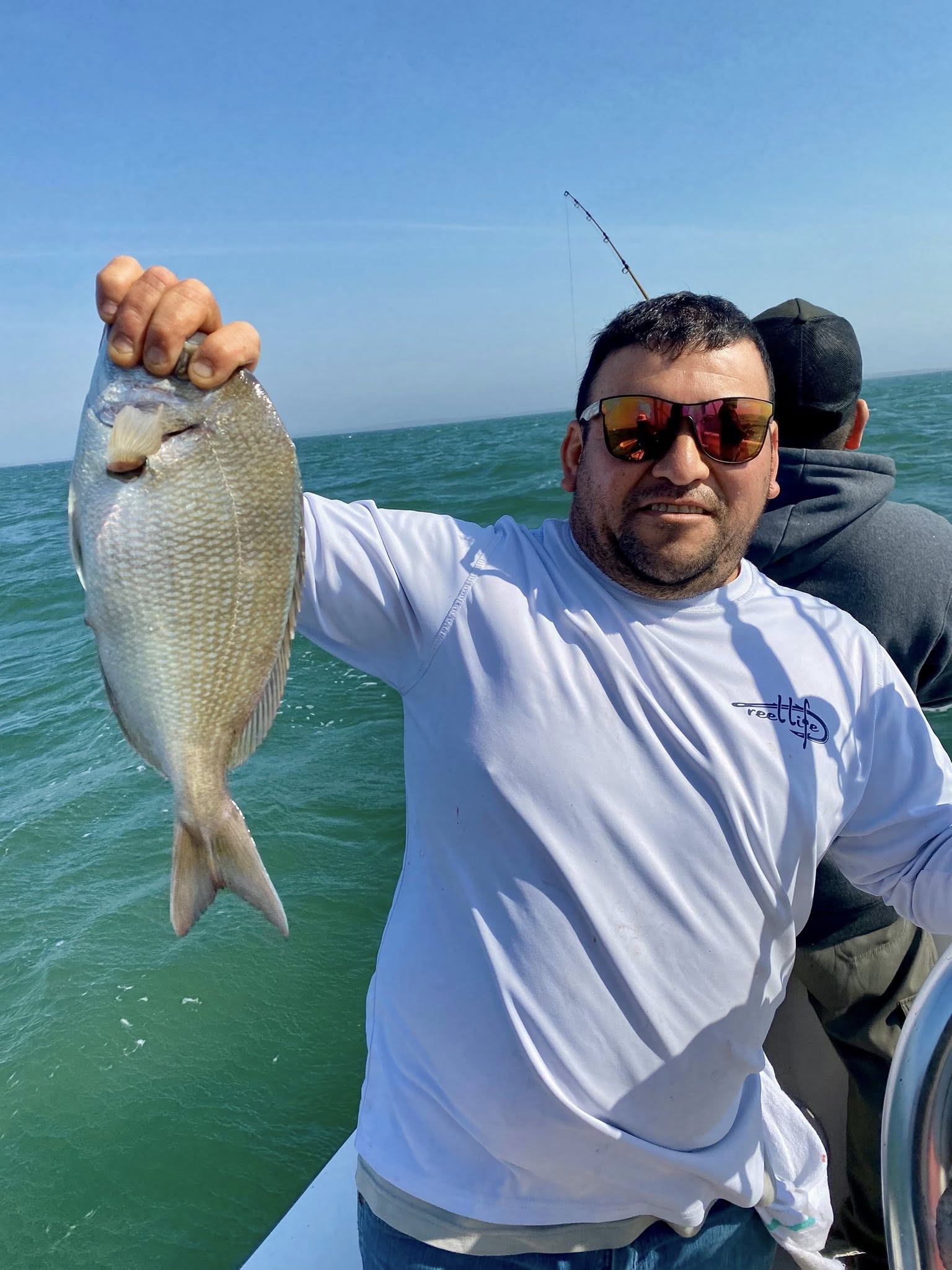 Fresh caught scup fish being held up on fishing boat in Wareham MA waters