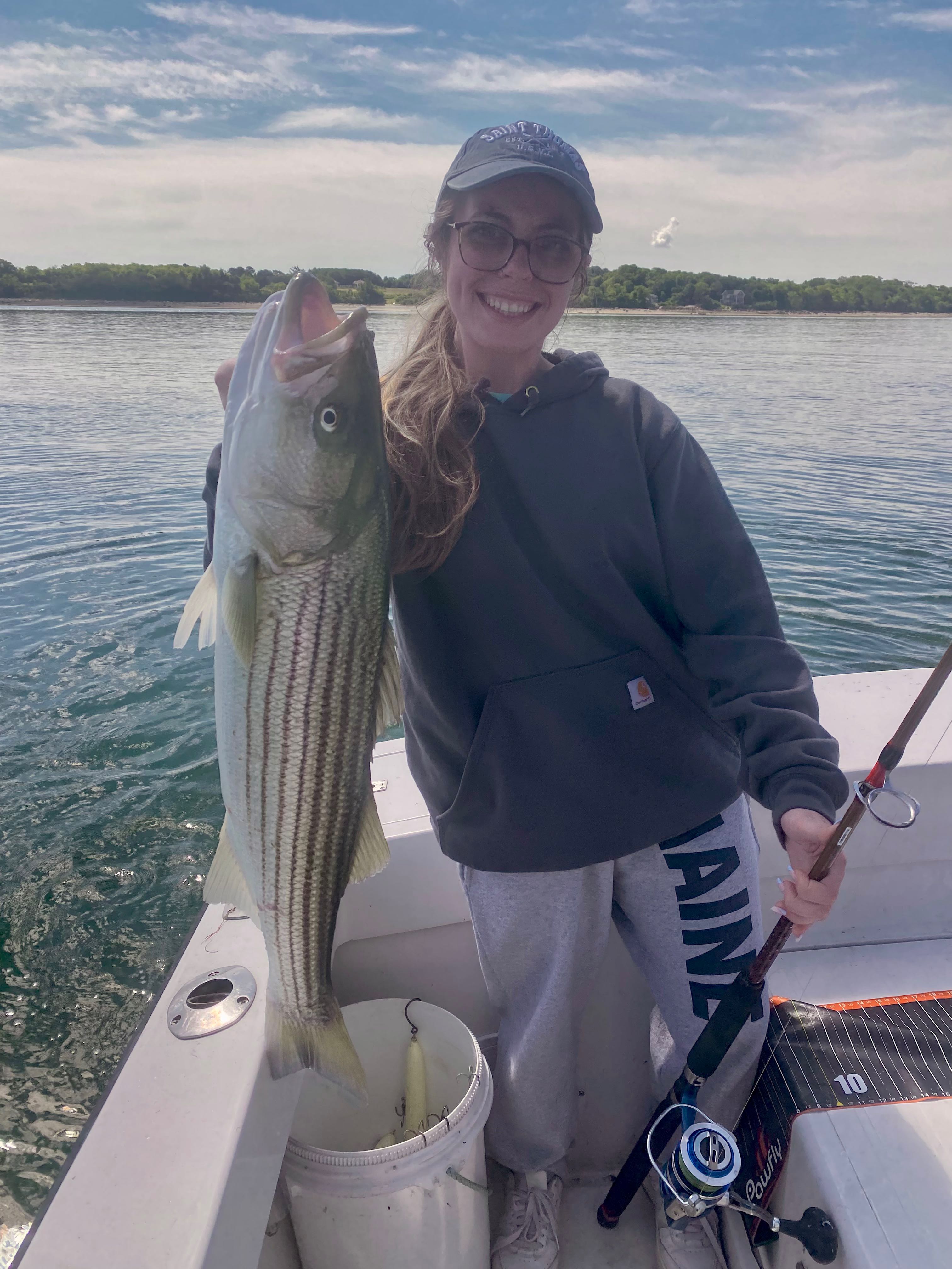 Striped bass catch displayed on fishing boat in Wareham MA waters