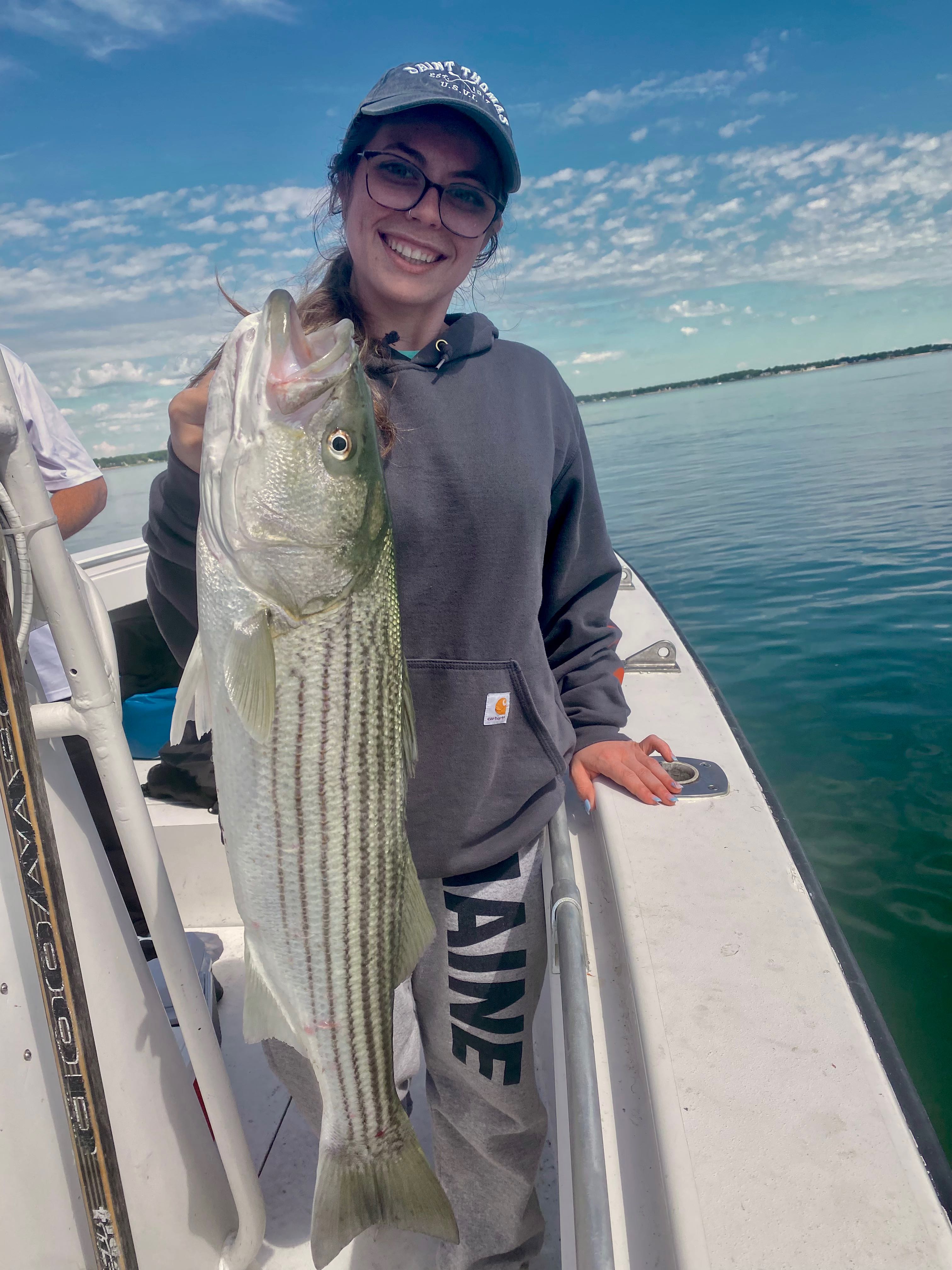 Striped bass caught while fishing in Wareham MA on boat
