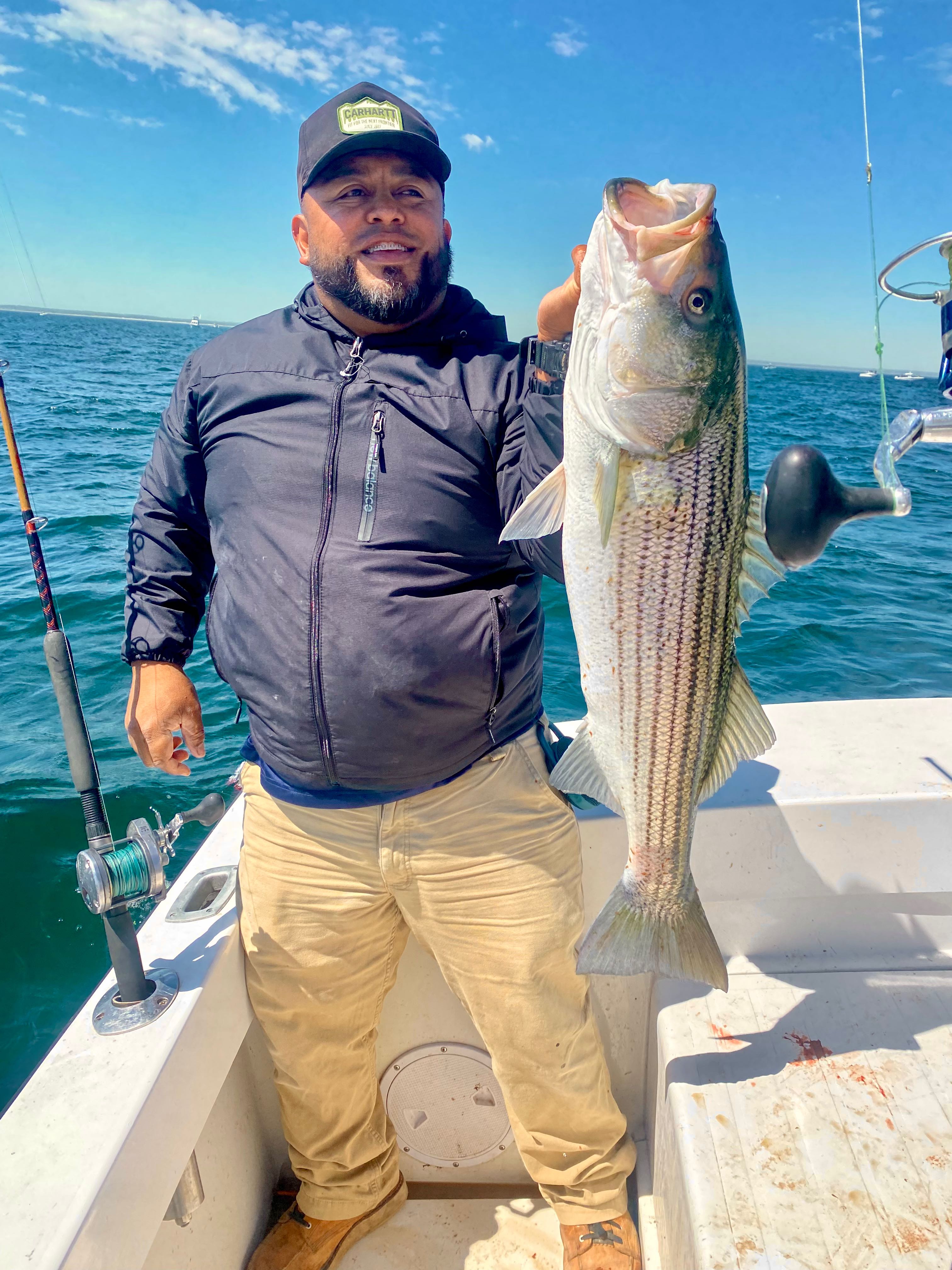Striped bass fishing catch displayed on boat in Wareham MA