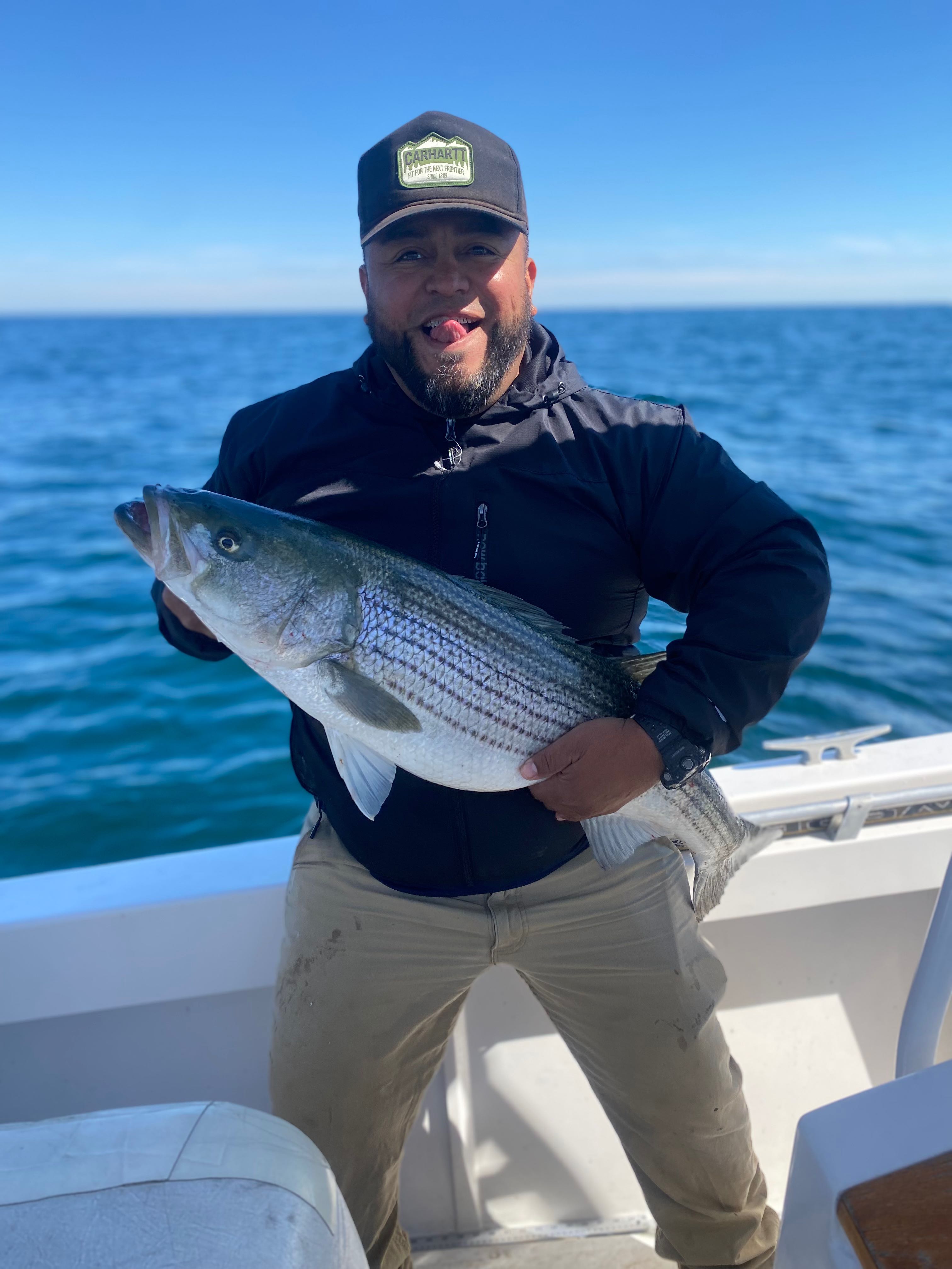Striped bass catch on fishing boat in Wareham MA waters