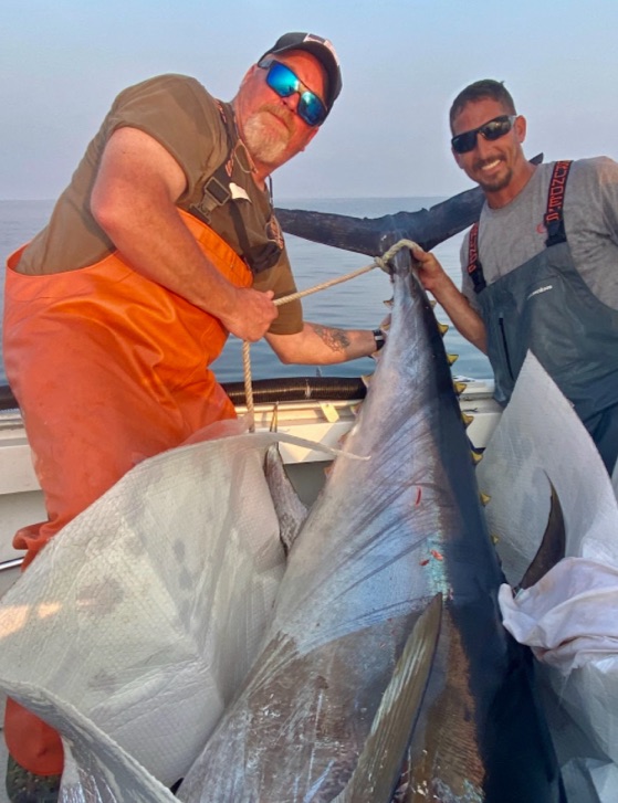 Large yellowfin tuna caught fishing in Wareham MA waters displayed on boat deck