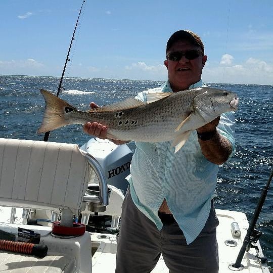 Redfish caught in Florida