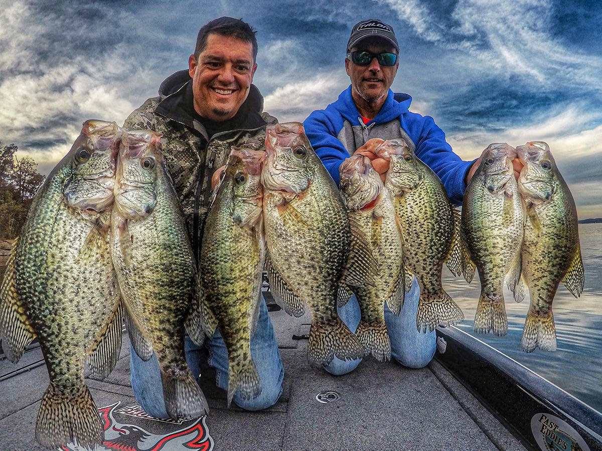Successful crappie fishing trip in Alba TX showing multiple caught fish on boat deck