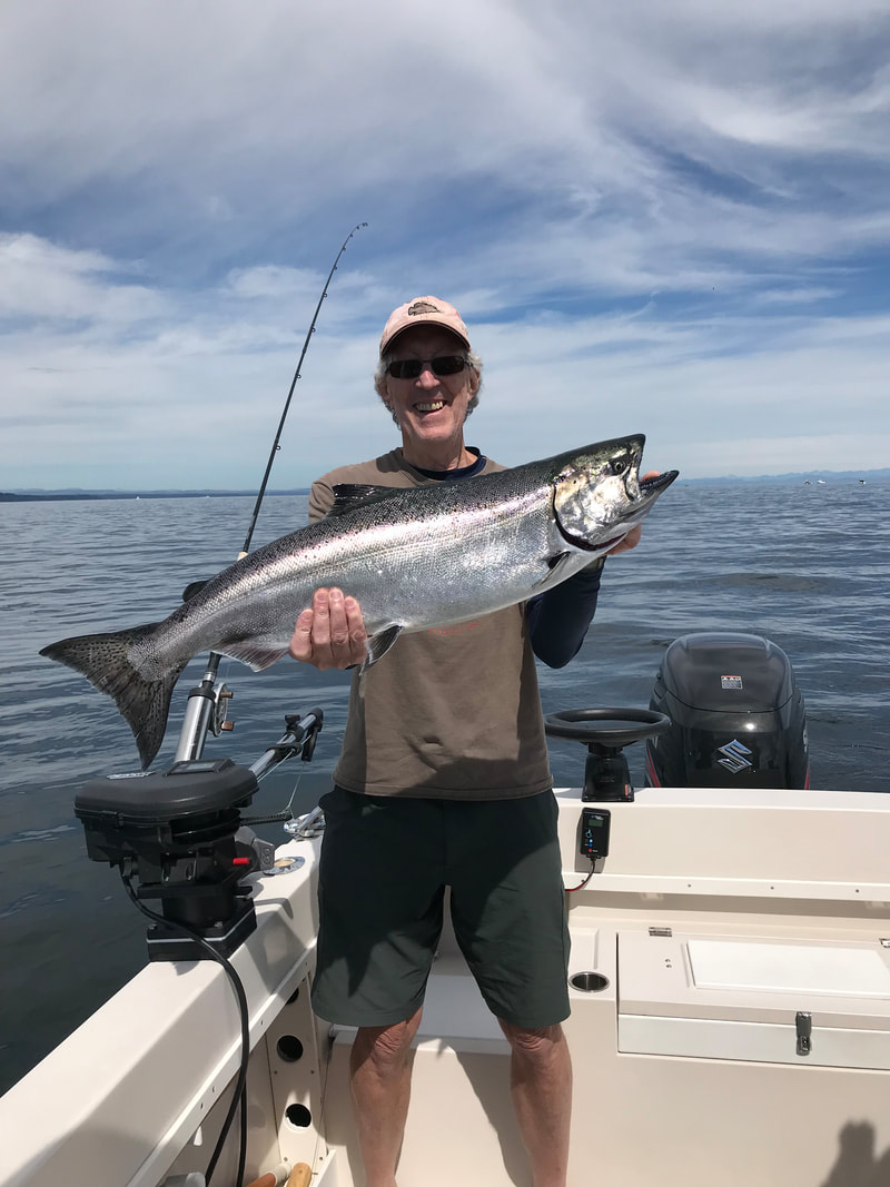 Chinook Salmon caught while fishing in Comox