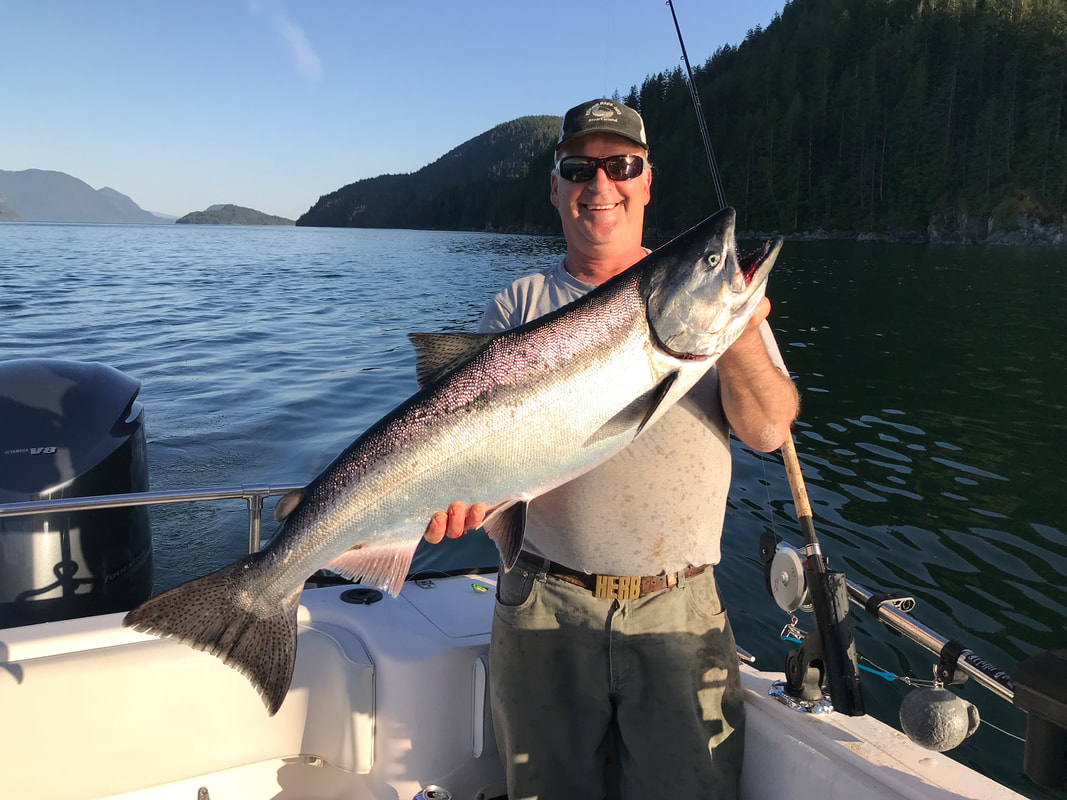 Chinook Salmon caught while fishing in BC