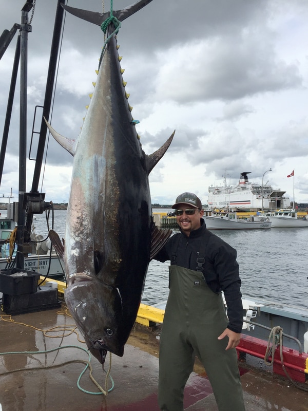 One person fishing in Comox