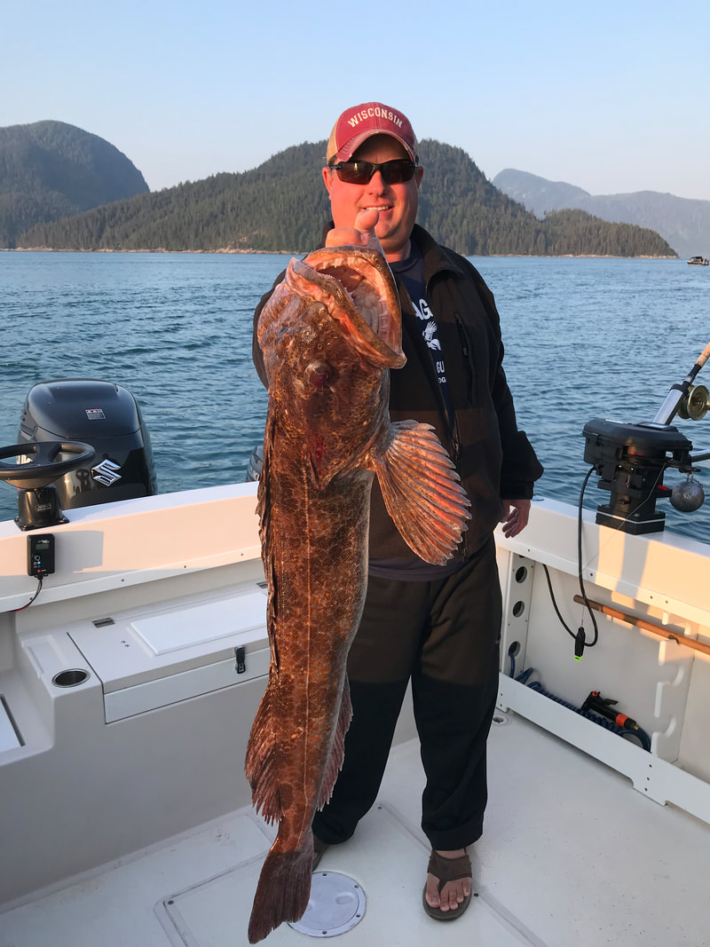 Lingcod fishing in BC