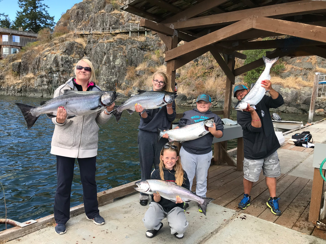 5 rainbow trout in BC