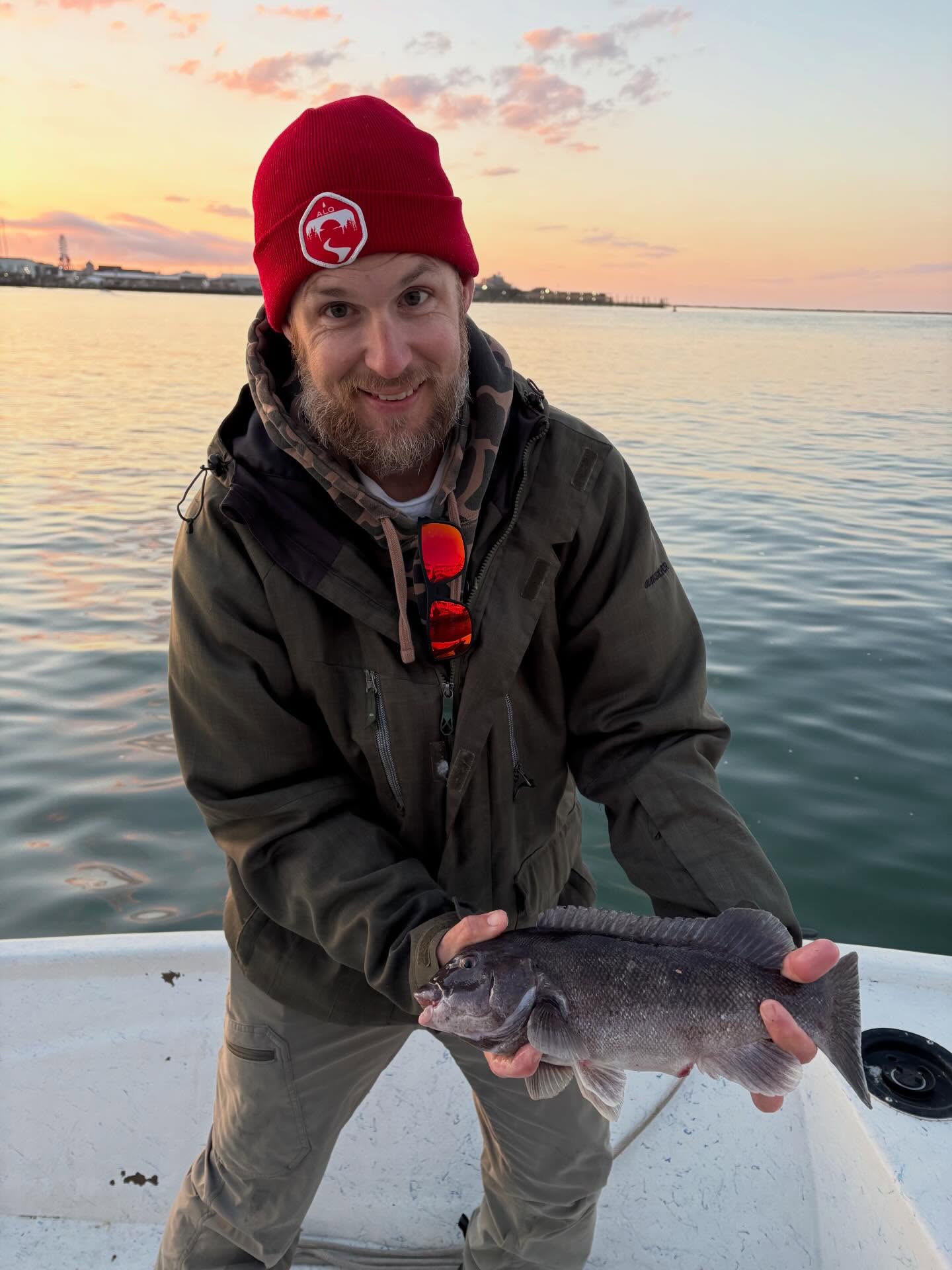Freshly caught tautog displayed on fishing boat deck in Salisbury MD waters