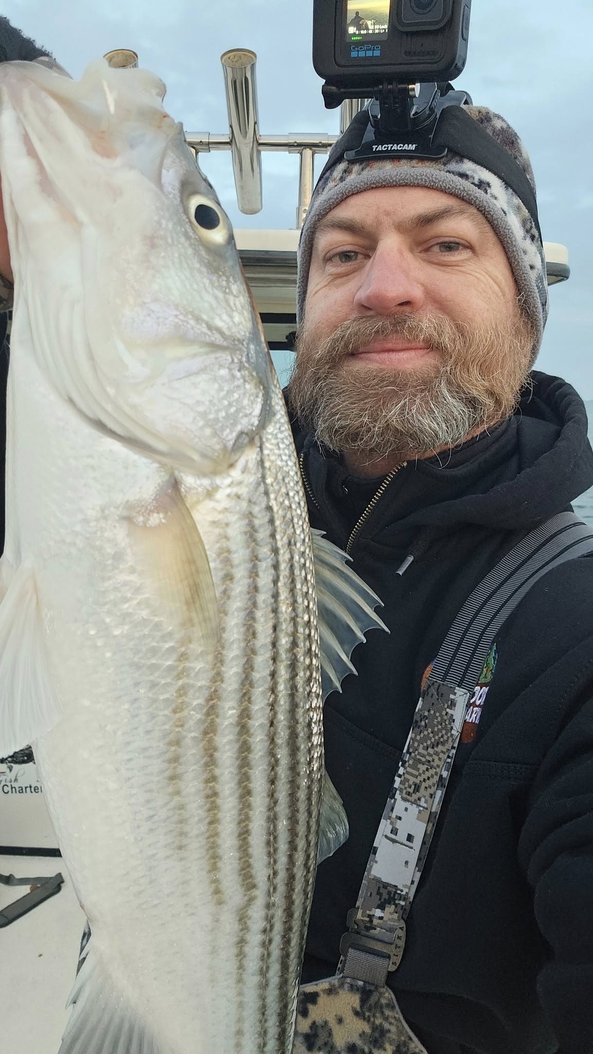 Striped bass caught during cruises and fishing trip in Salisbury