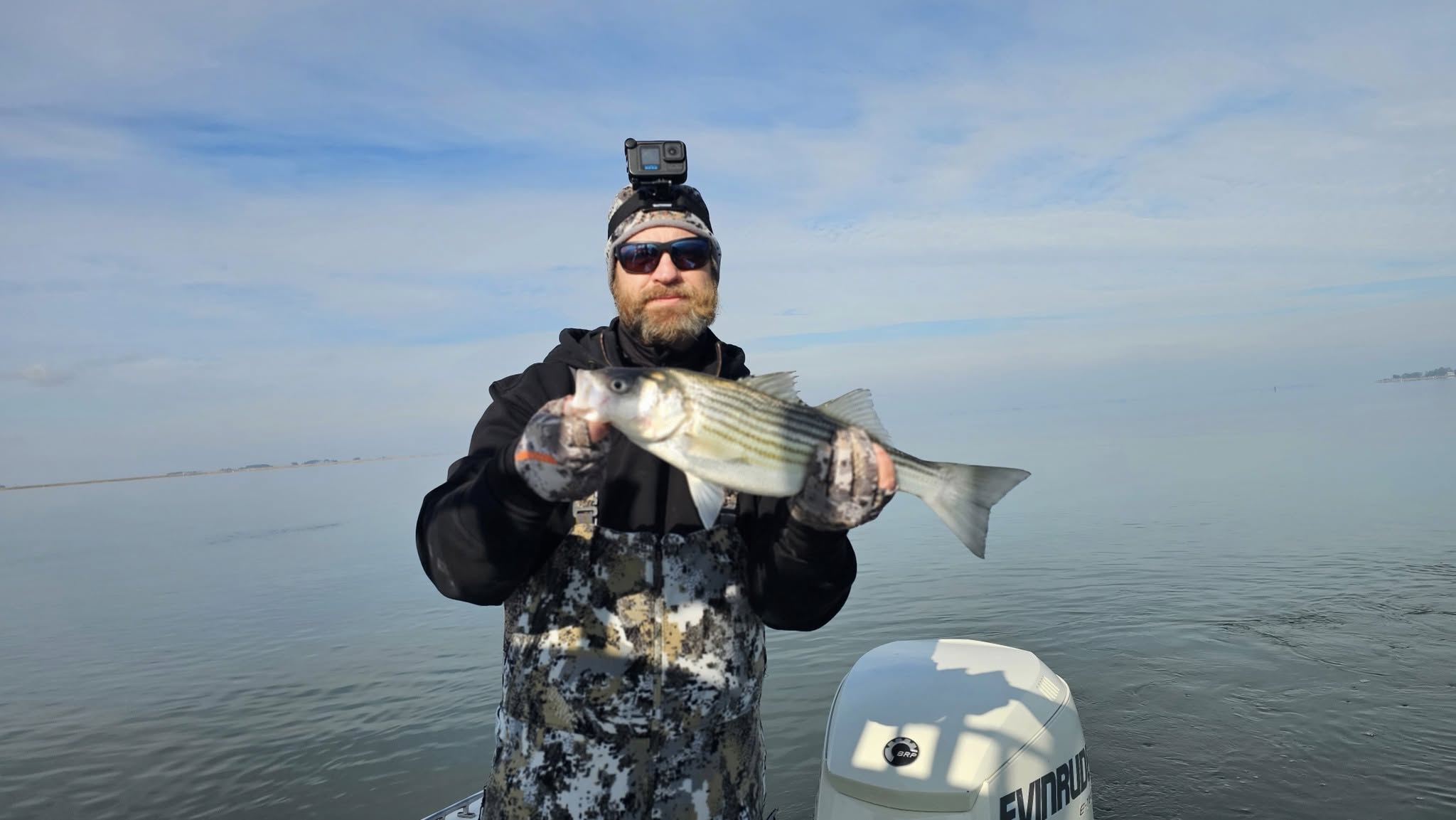 Striped bass caught during cruises and fishing in Salisbury