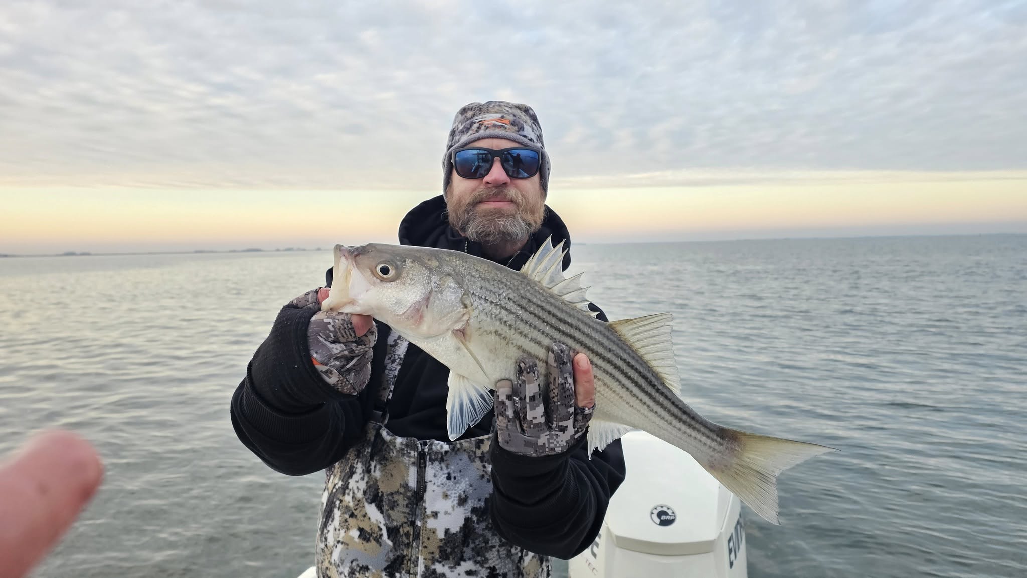 Striped bass caught during fishing trip in Salisbury MD waters