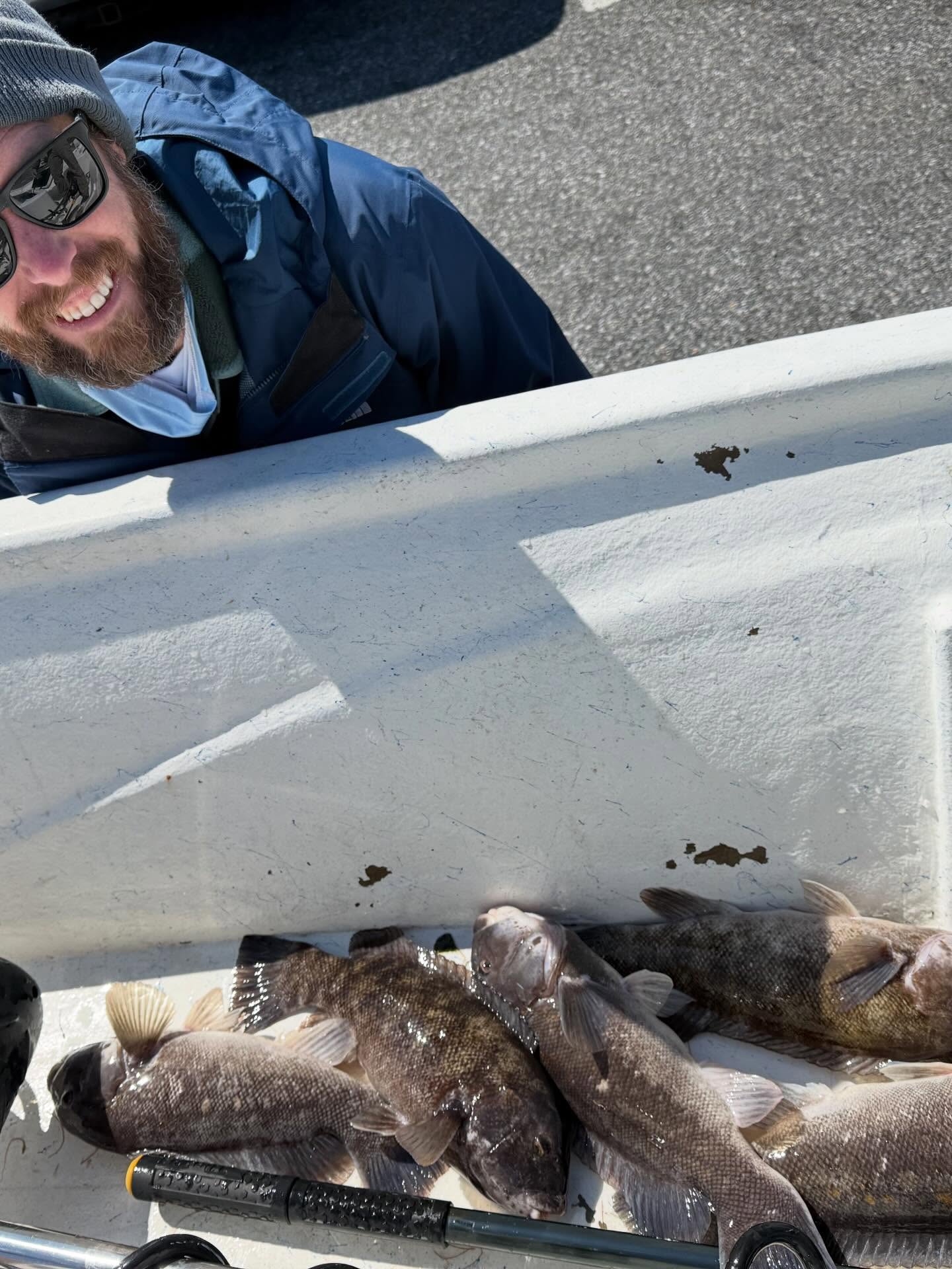 Four tautog fish caught during fishing trip in Salisbury MD displayed on boat deck