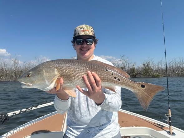 Redfish caught while fishing in Cape Coral FL