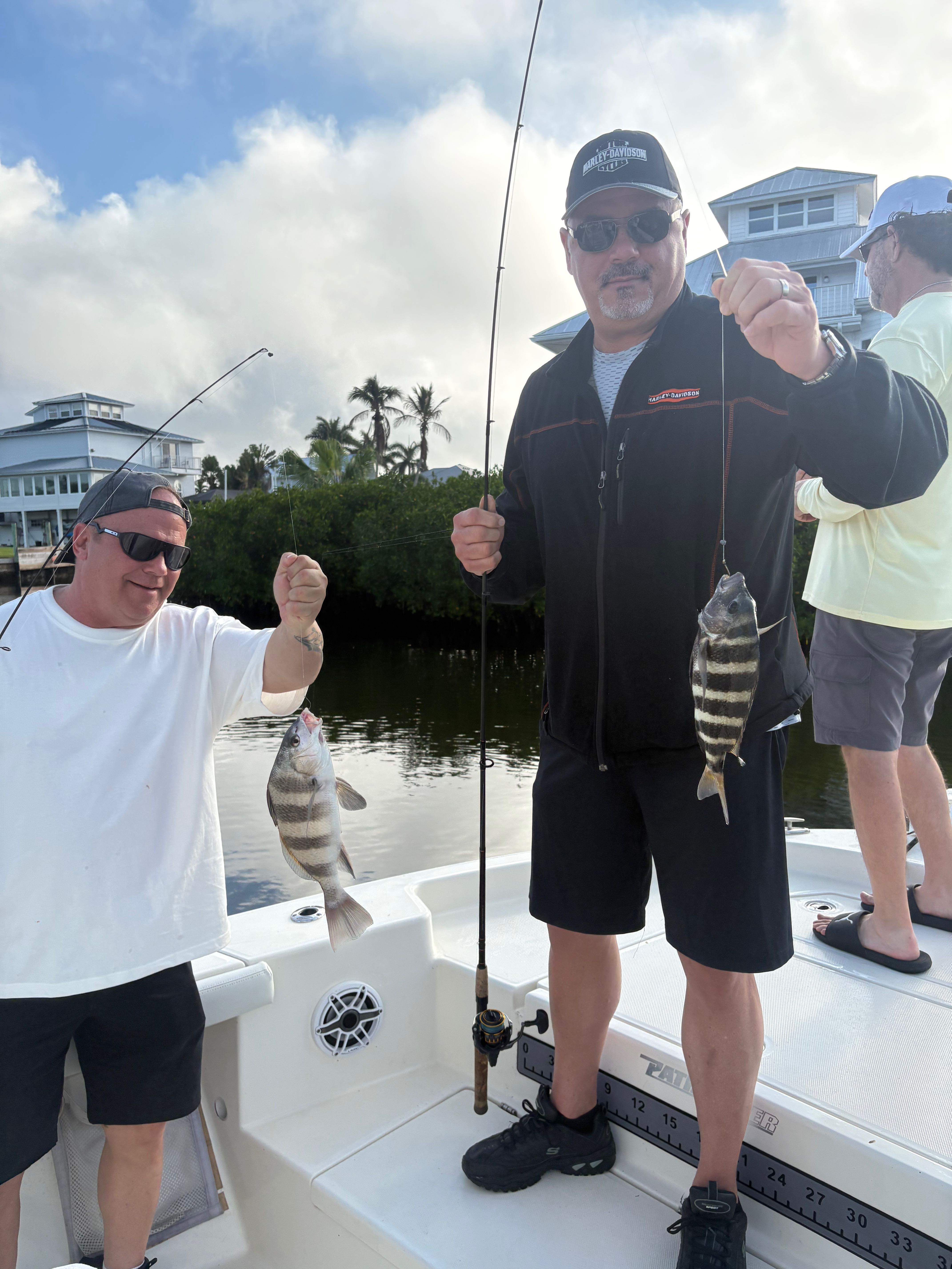 Two freshly caught fish - black drum and sheepshead - displayed on fishing boat deck in Punta Gorda FL