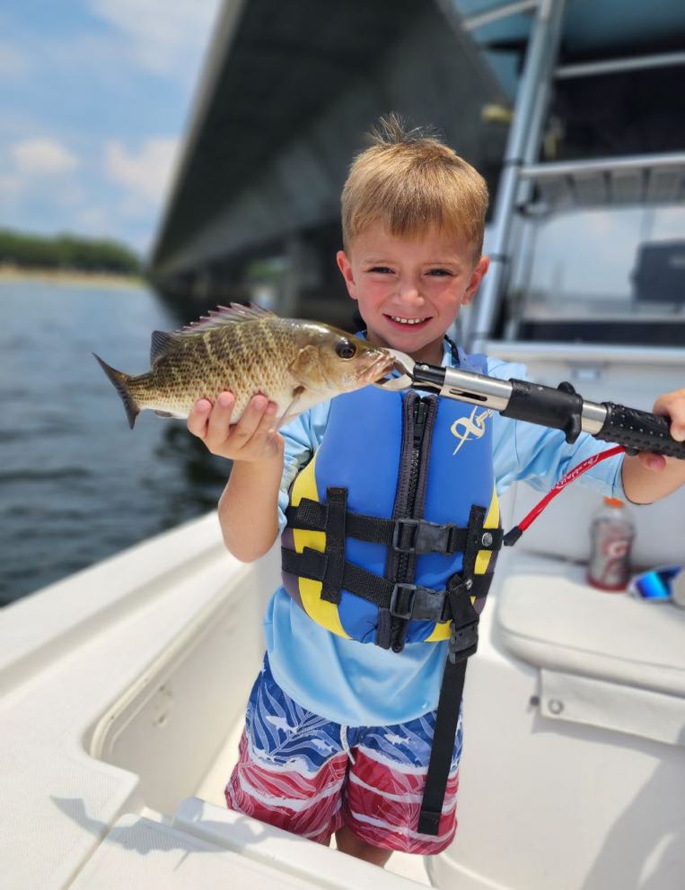 A single grey snapper fish caught in Niceville