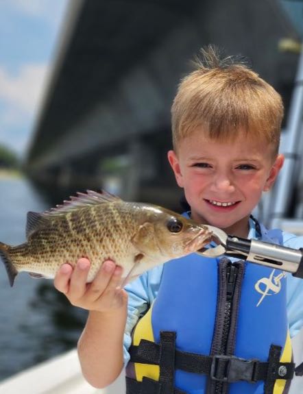 A single grey snapper fish caught in Niceville