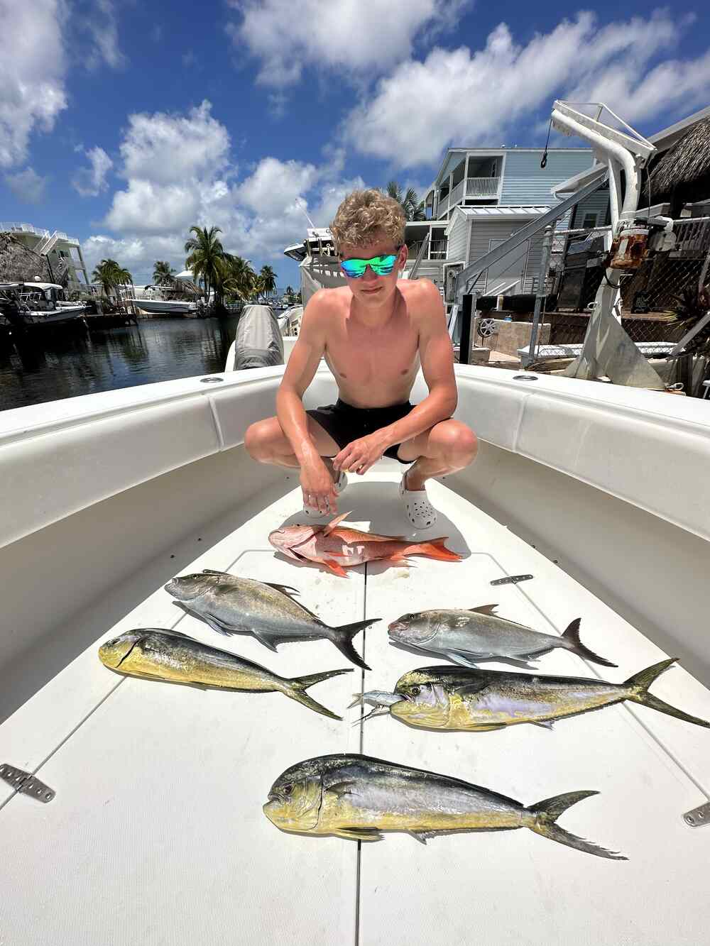 3 bluefish caught in Key Largo