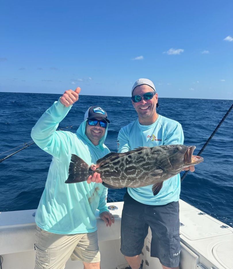 Majestic Black Grouper Caught in Key Largo