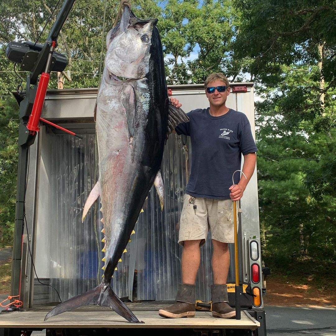 Blackfin Tuna, 64-inch fish caught in MA