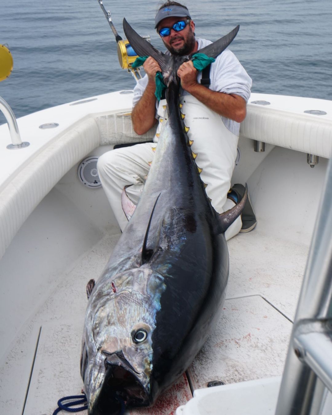 Blackfin Tuna caught in MA