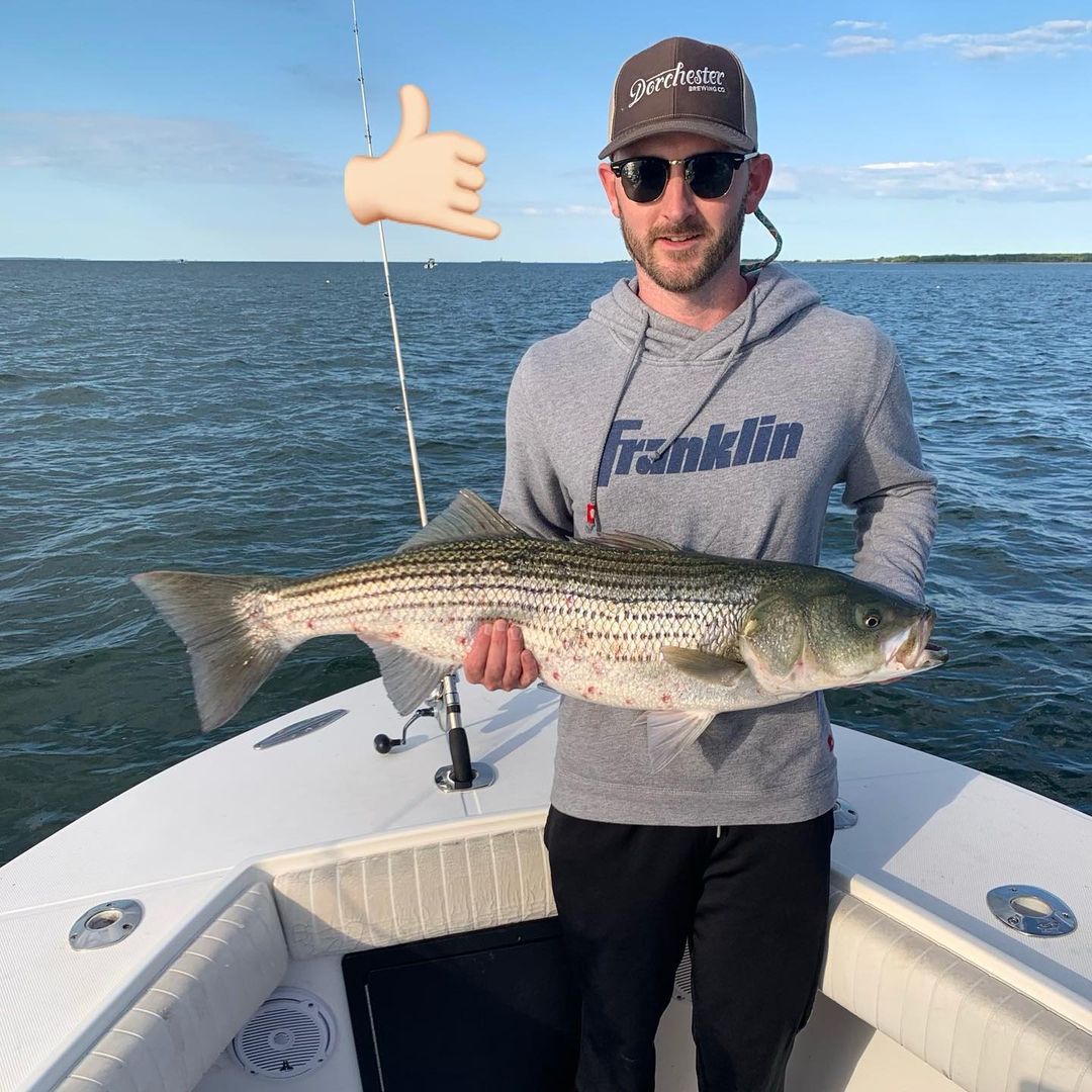 Striped Bass caught in Brewster