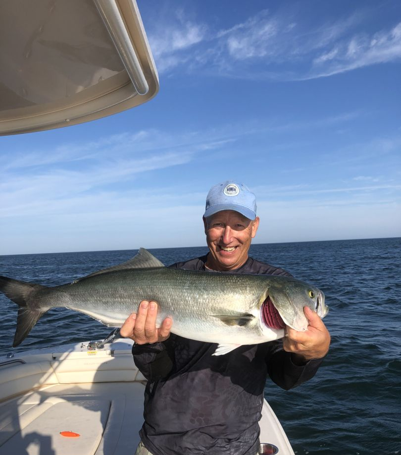 Bluefish caught while fishing in MD
