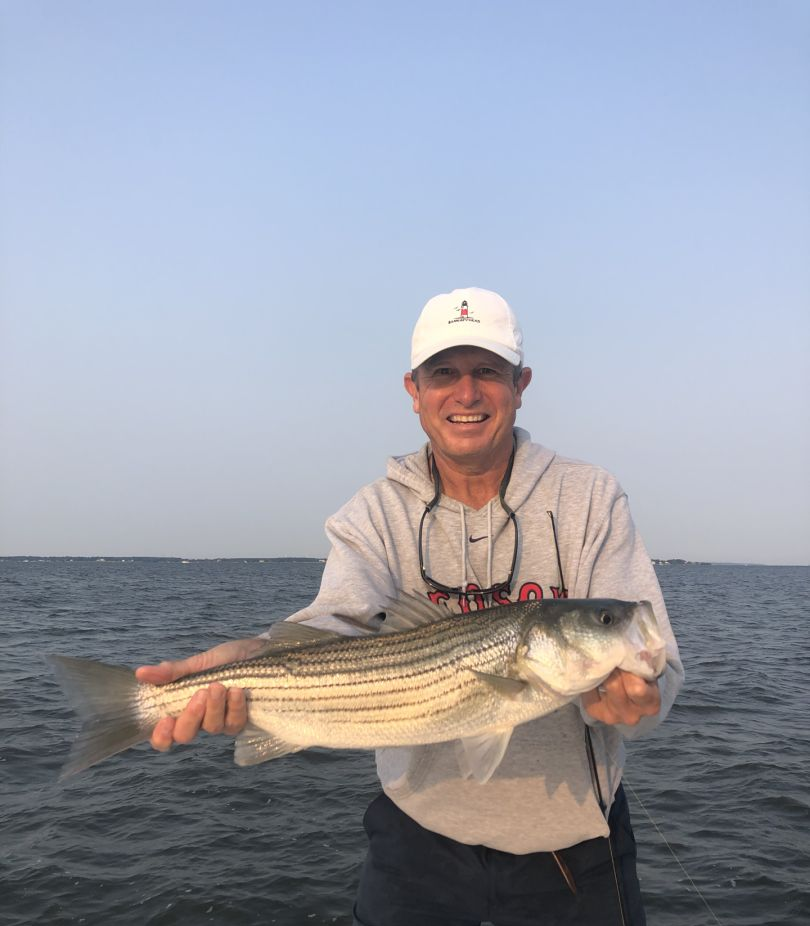A striped bass caught by a fisherman in Cambridge