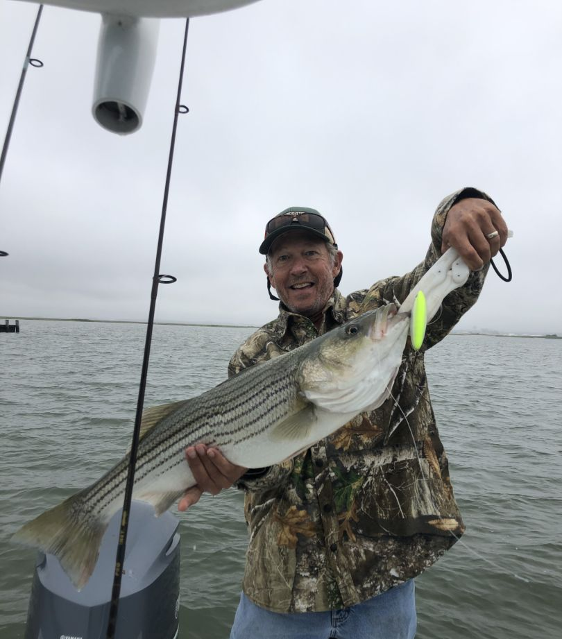 Striped bass fishing in MD