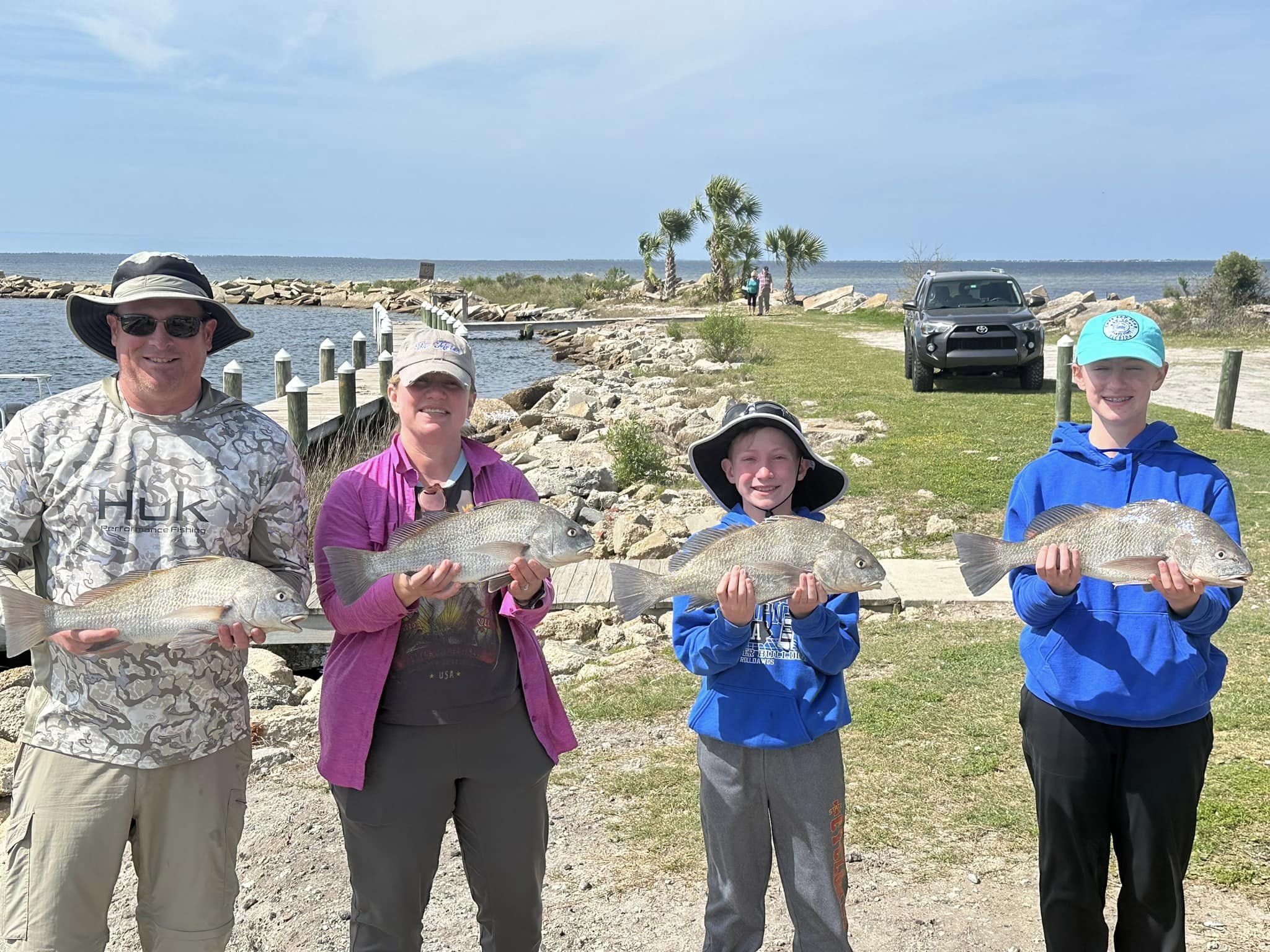 Four black drum fish caught in FL by five anglers