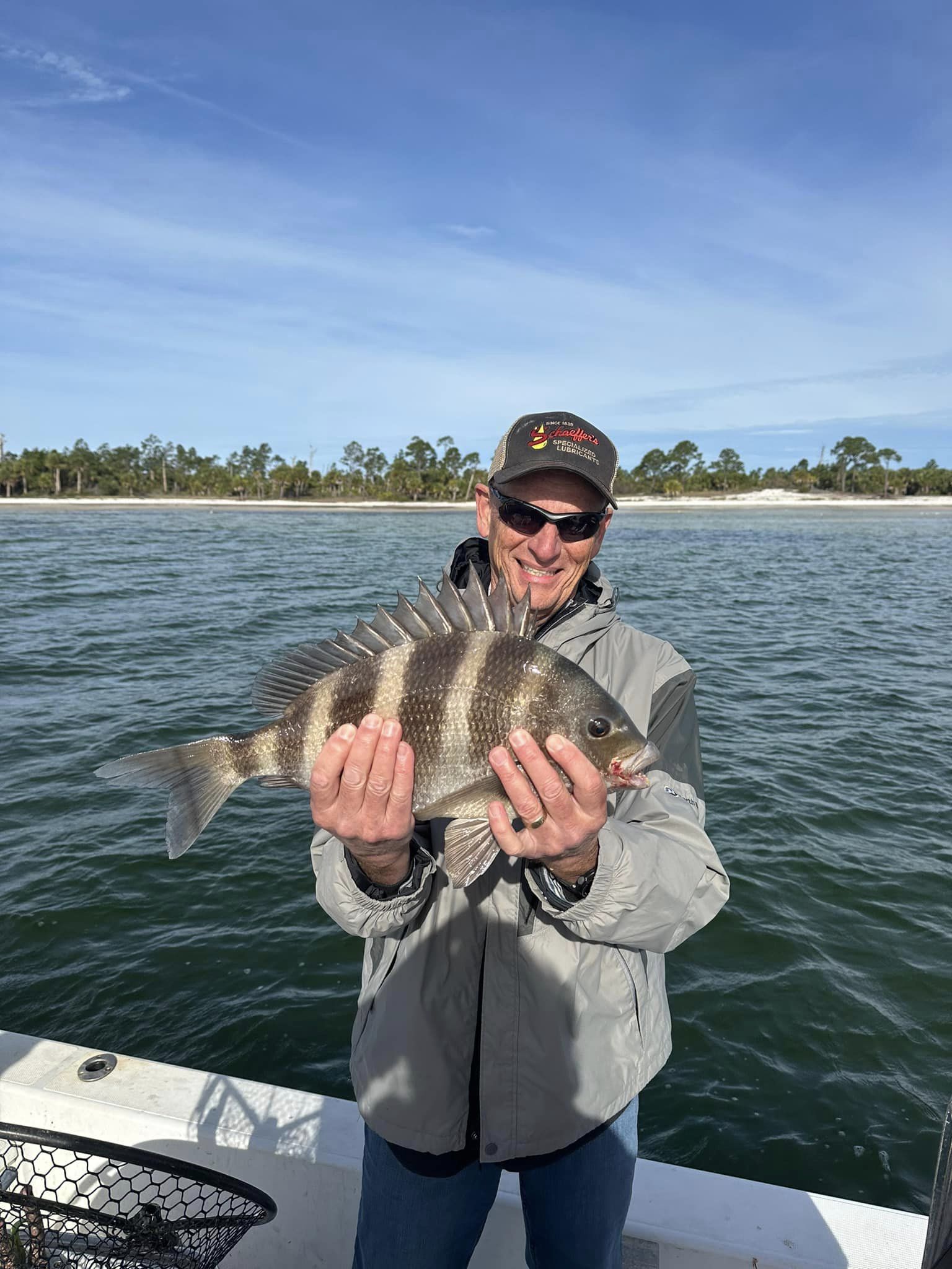 Sheepshead fish caught in FL