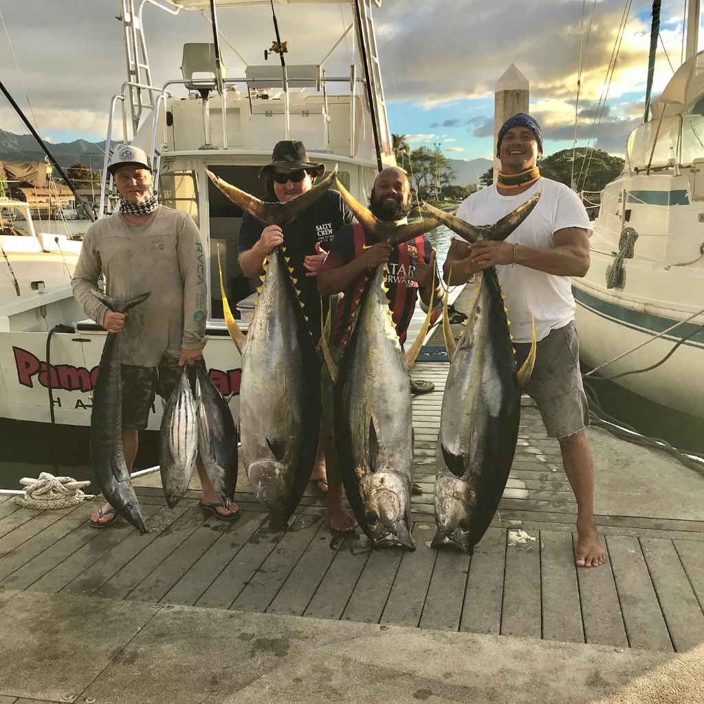 5 king mackerel, blackfin tuna, and wahoo fish caught in HI