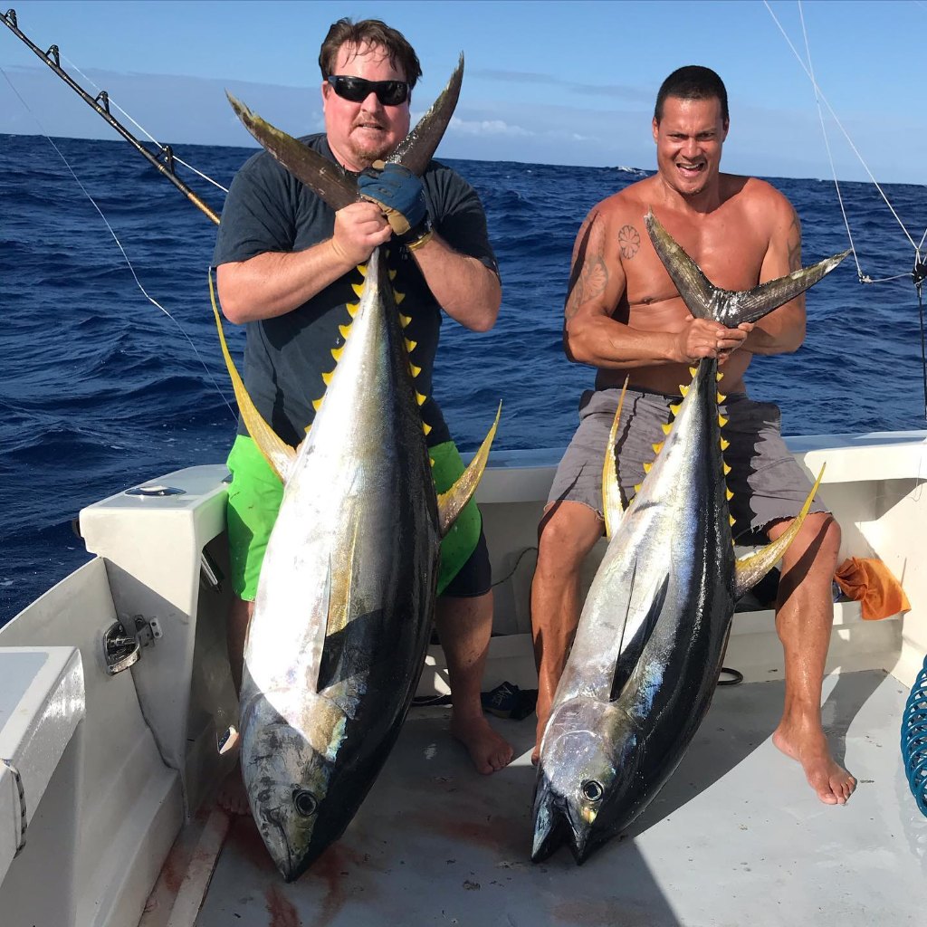 Two yellowfin tuna and blackfin tuna fish caught in HI