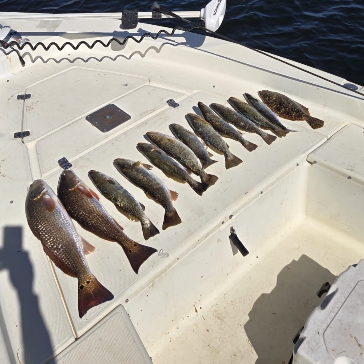 Fresh caught redfish, southern flounder, and speckled trout displayed on boat deck in Crawfordville FL