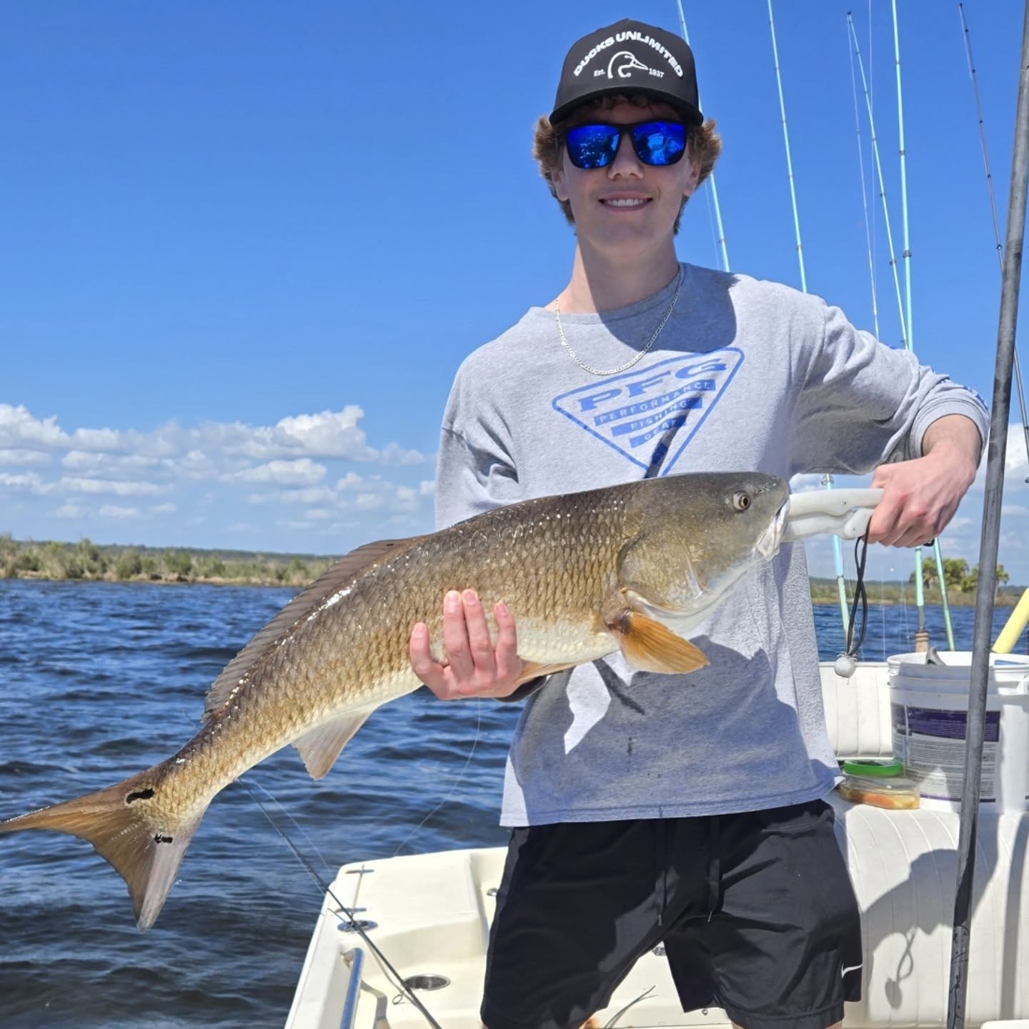 Redfish caught while fishing in Crawfordville FL