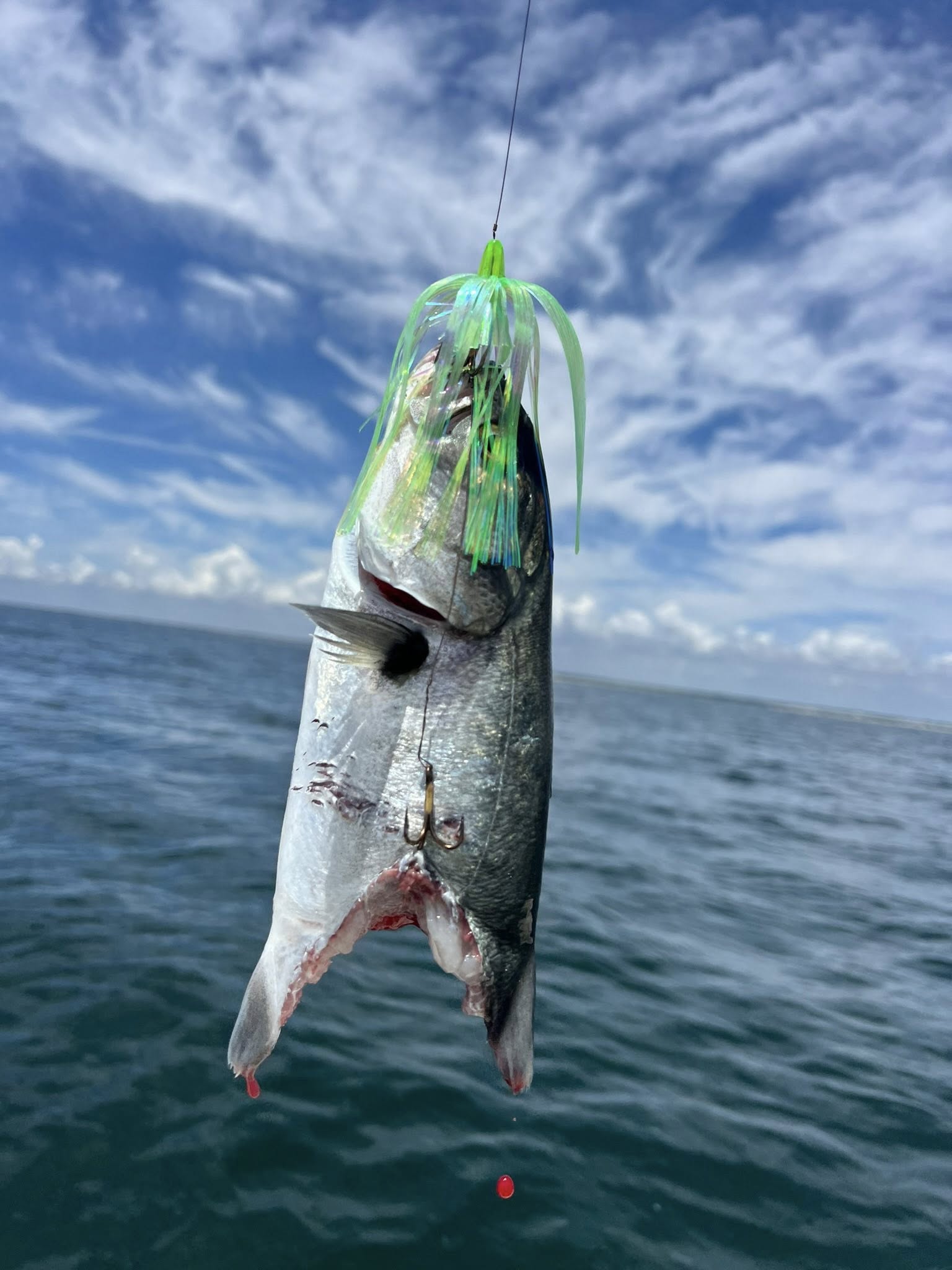 Fishing in NC