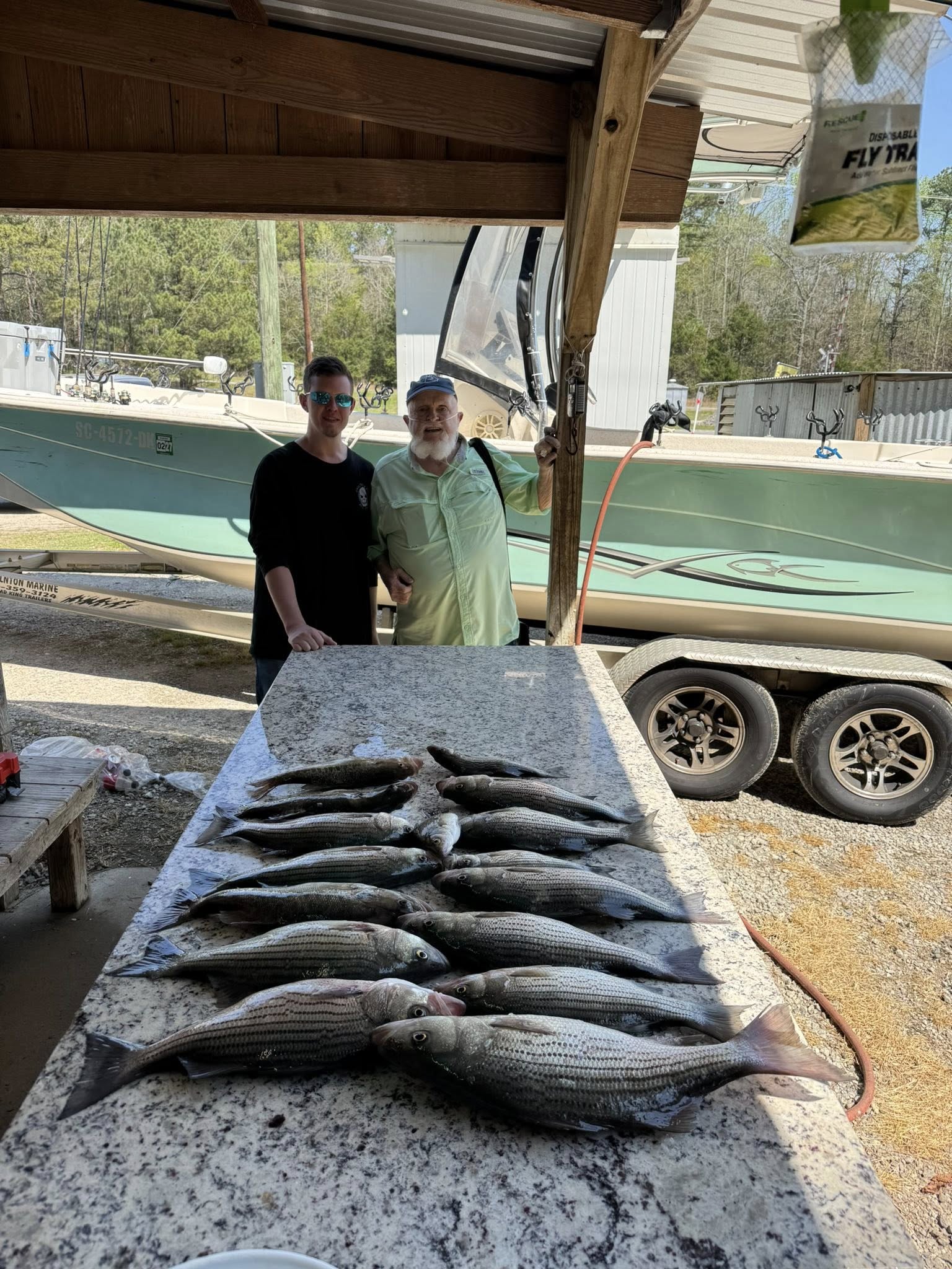 Striped bass fishing catch displayed on cleaning table in North Augusta SC