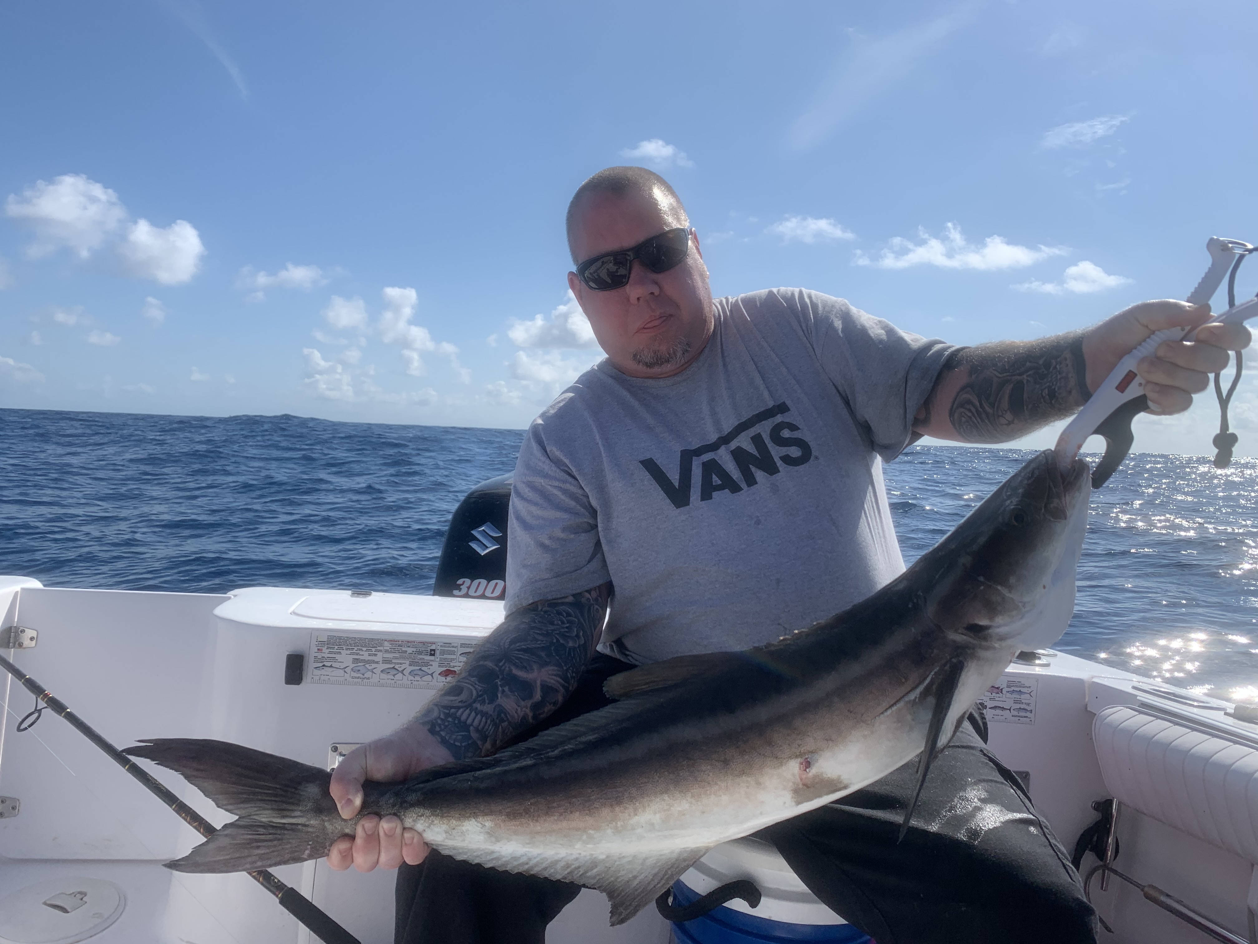 Cobia fish caught in FL