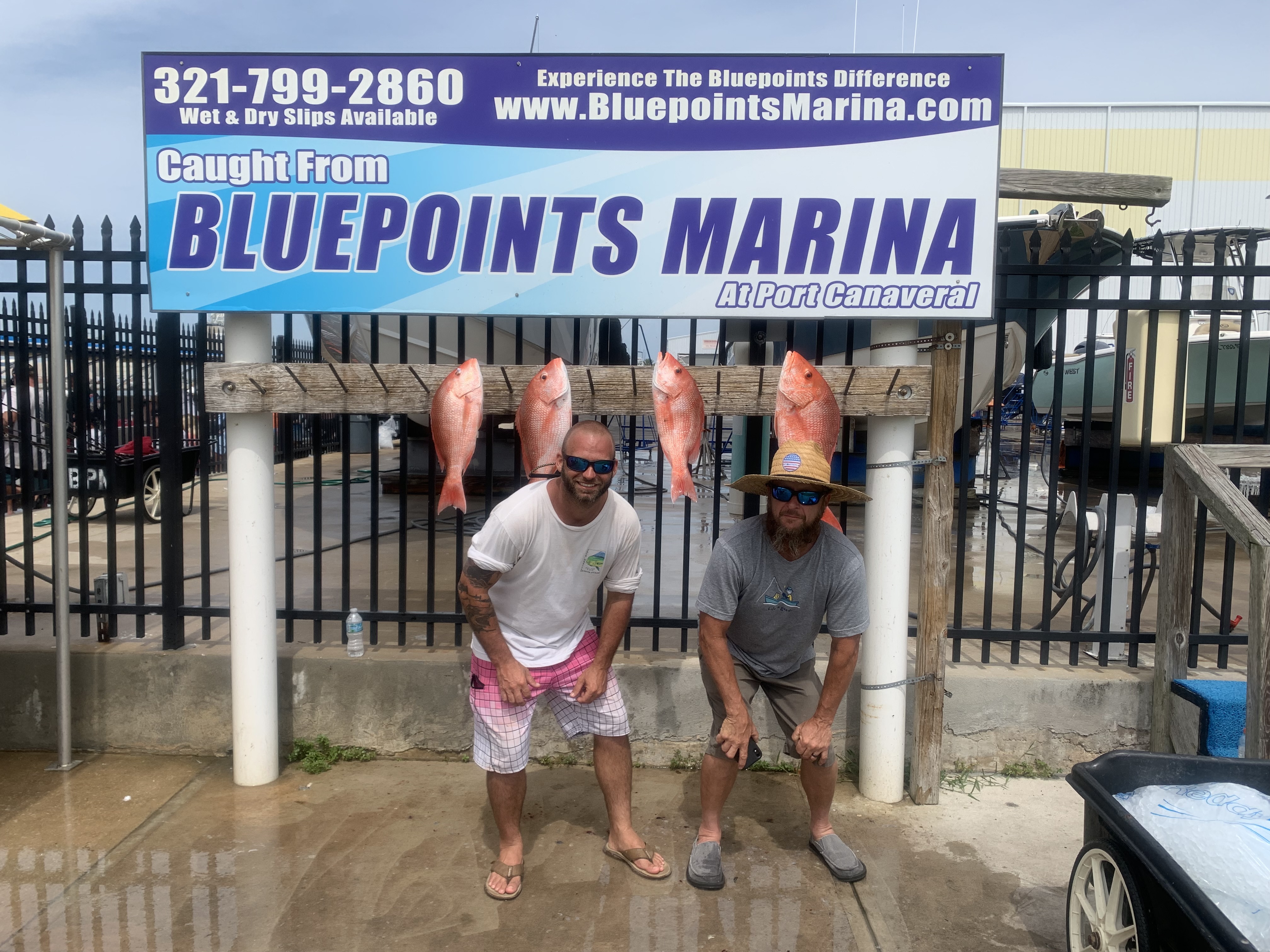 Three fish caught at Cape Canaveral
