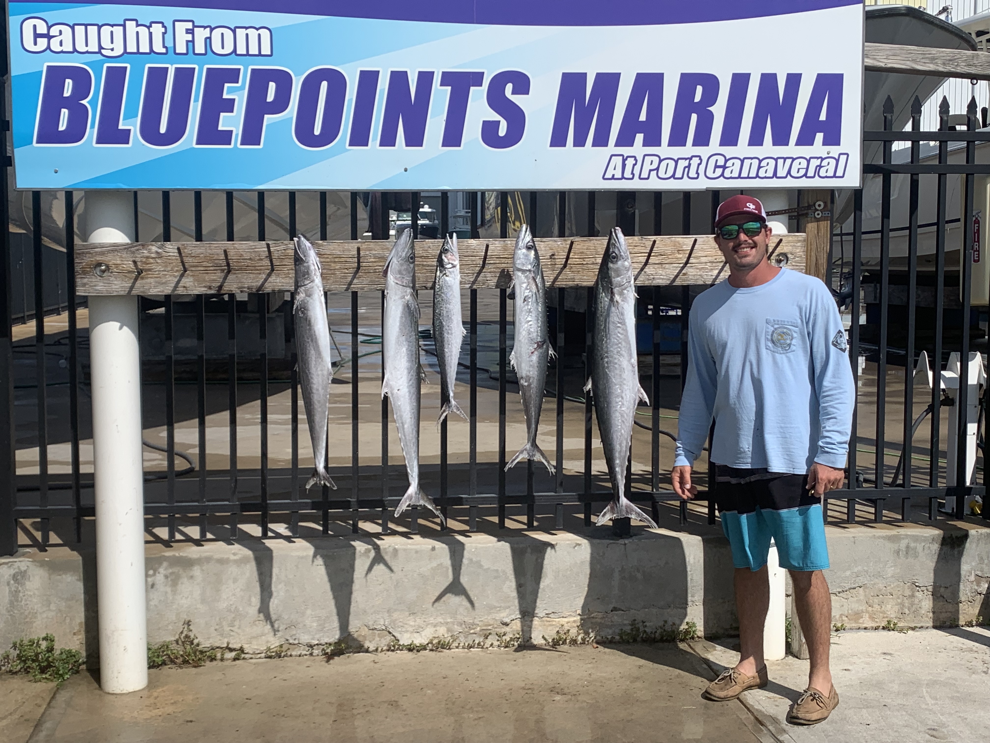 Four king mackerel, wahoo, and spotted weakfish caught in FL