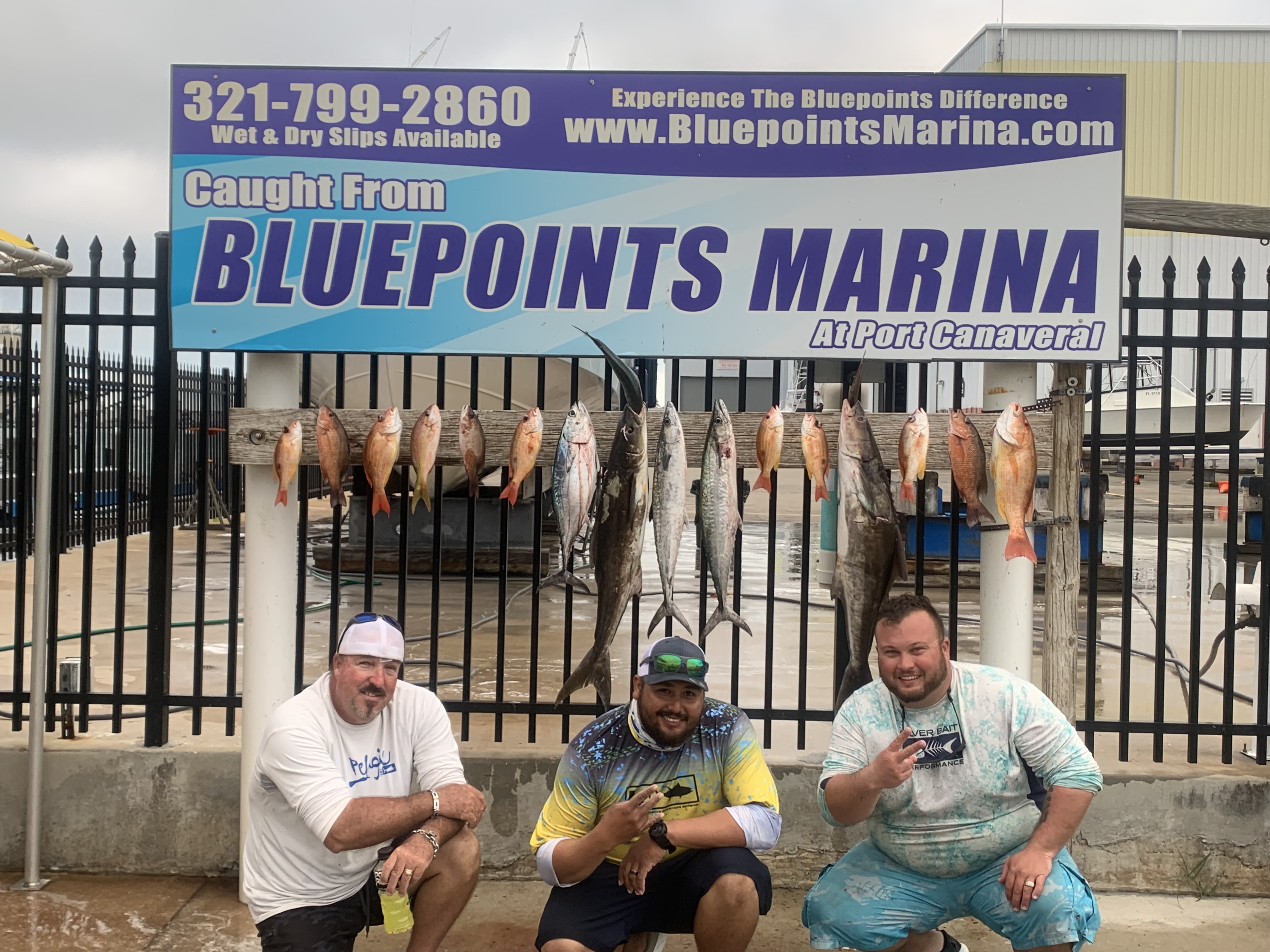Three king mackerel, each about 21 inches long, caught near Cape Canaveral